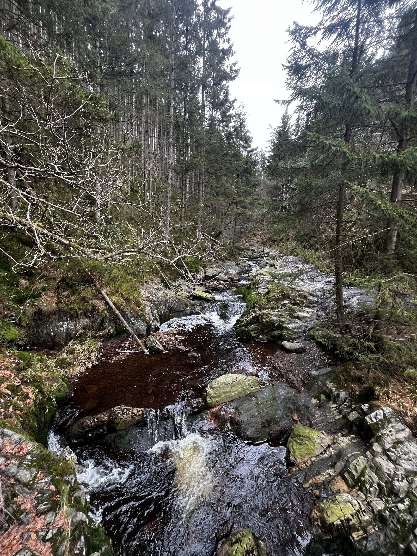 Le Canyon des Trôs Marets, 5km: Review of our Hike in Malmedy 7 Overview over one of the many rivers