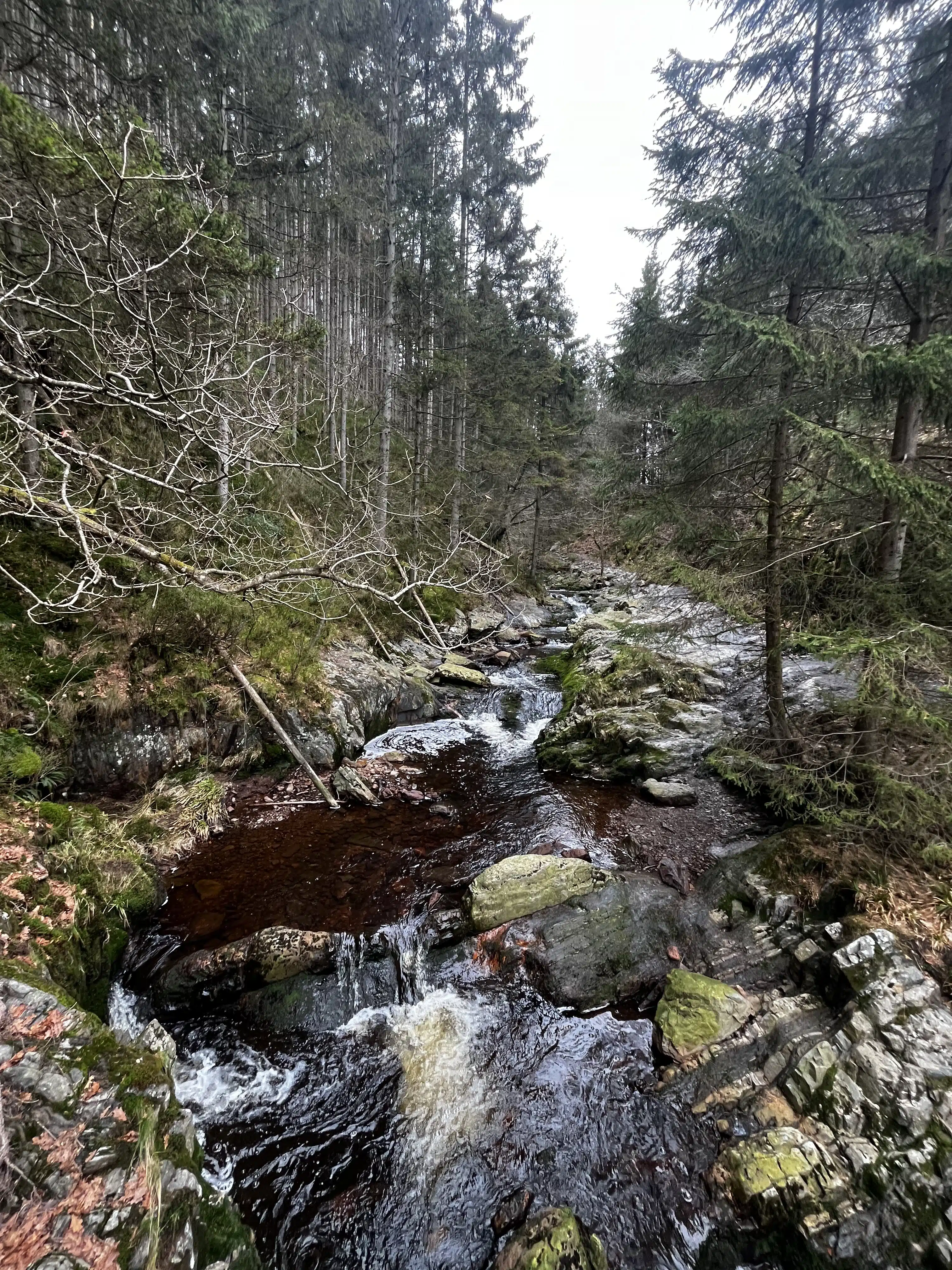 Overview over one of the many rivers