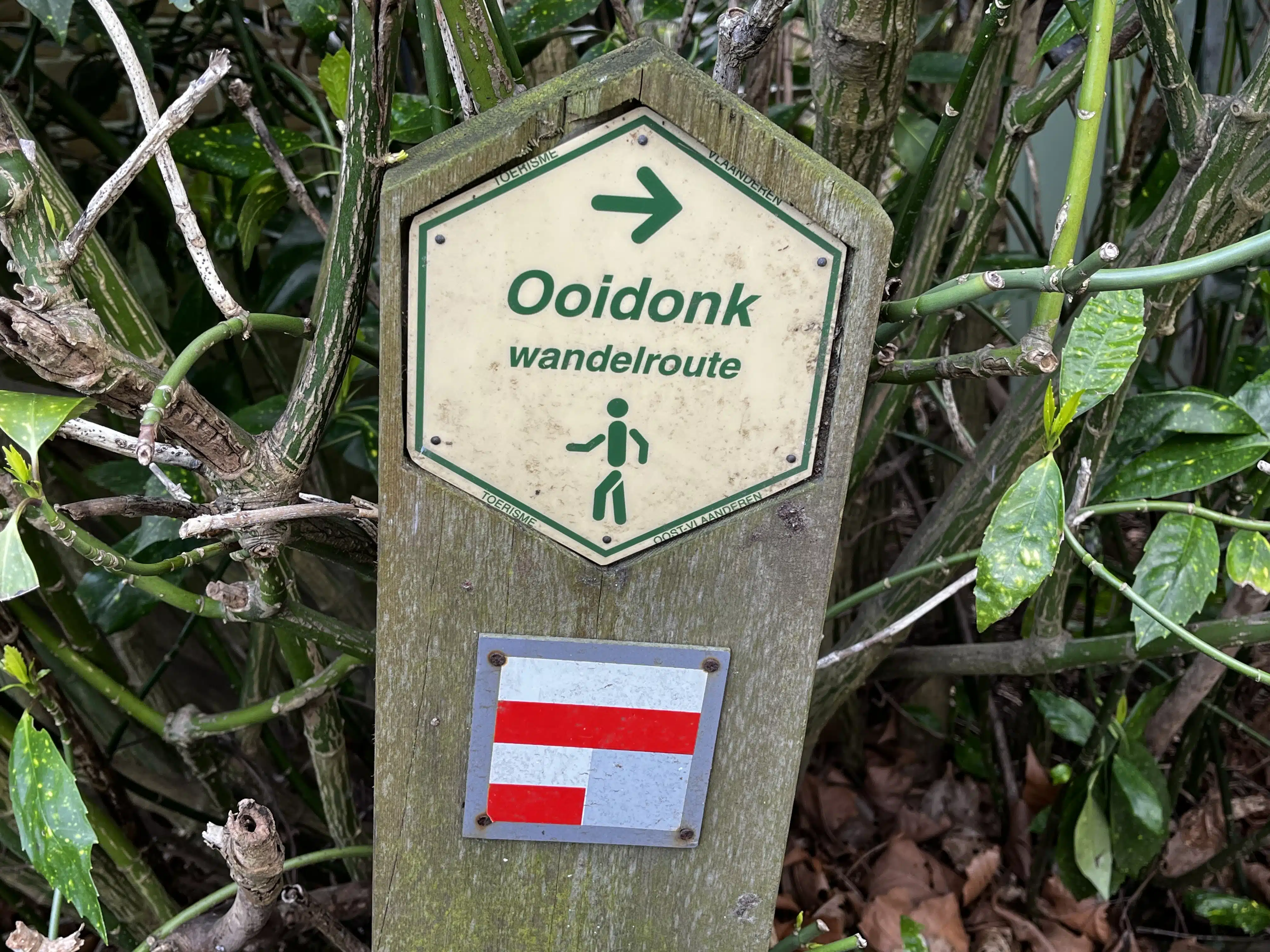 You have to keep following this signboard