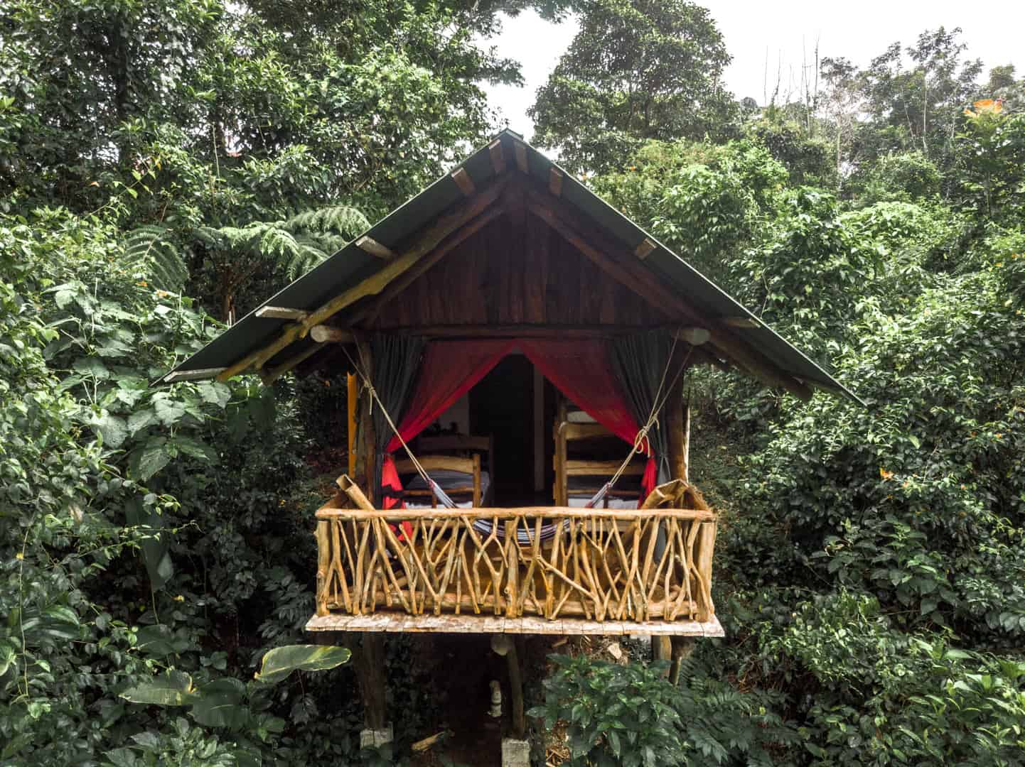 La Tigra Rain Forest