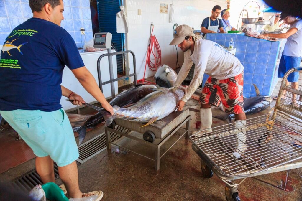 Rincon de Guayabitos Travel Guide: Things to Do, Where to Stay & Itinerary (2026) 6 Yellowfin Tuna at the fish market