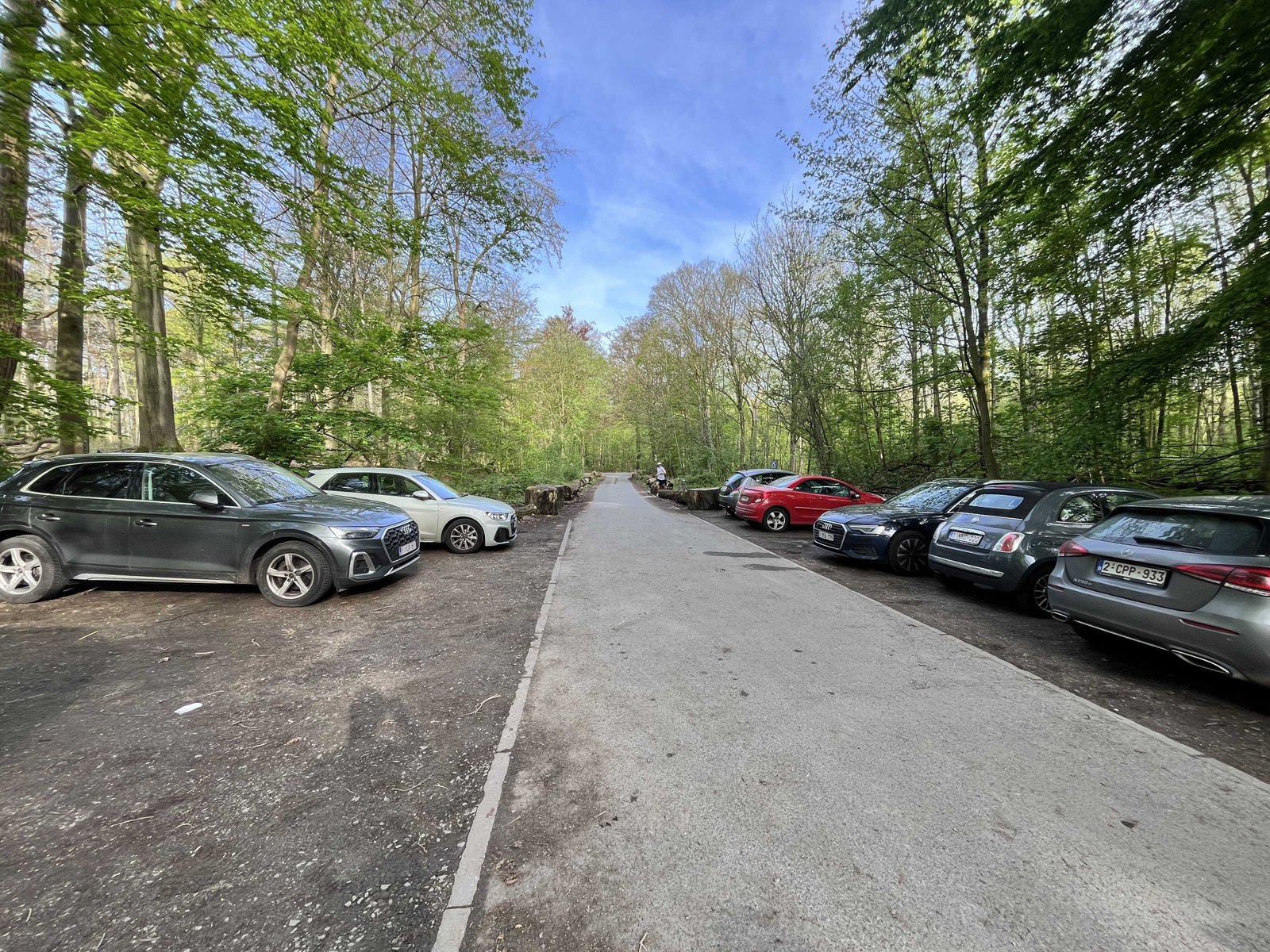Brussels's Sonian Forest: Worth a Visit in 2026? (REVIEW) 10 Our hidden parking spot. Only 10 cars can fit!