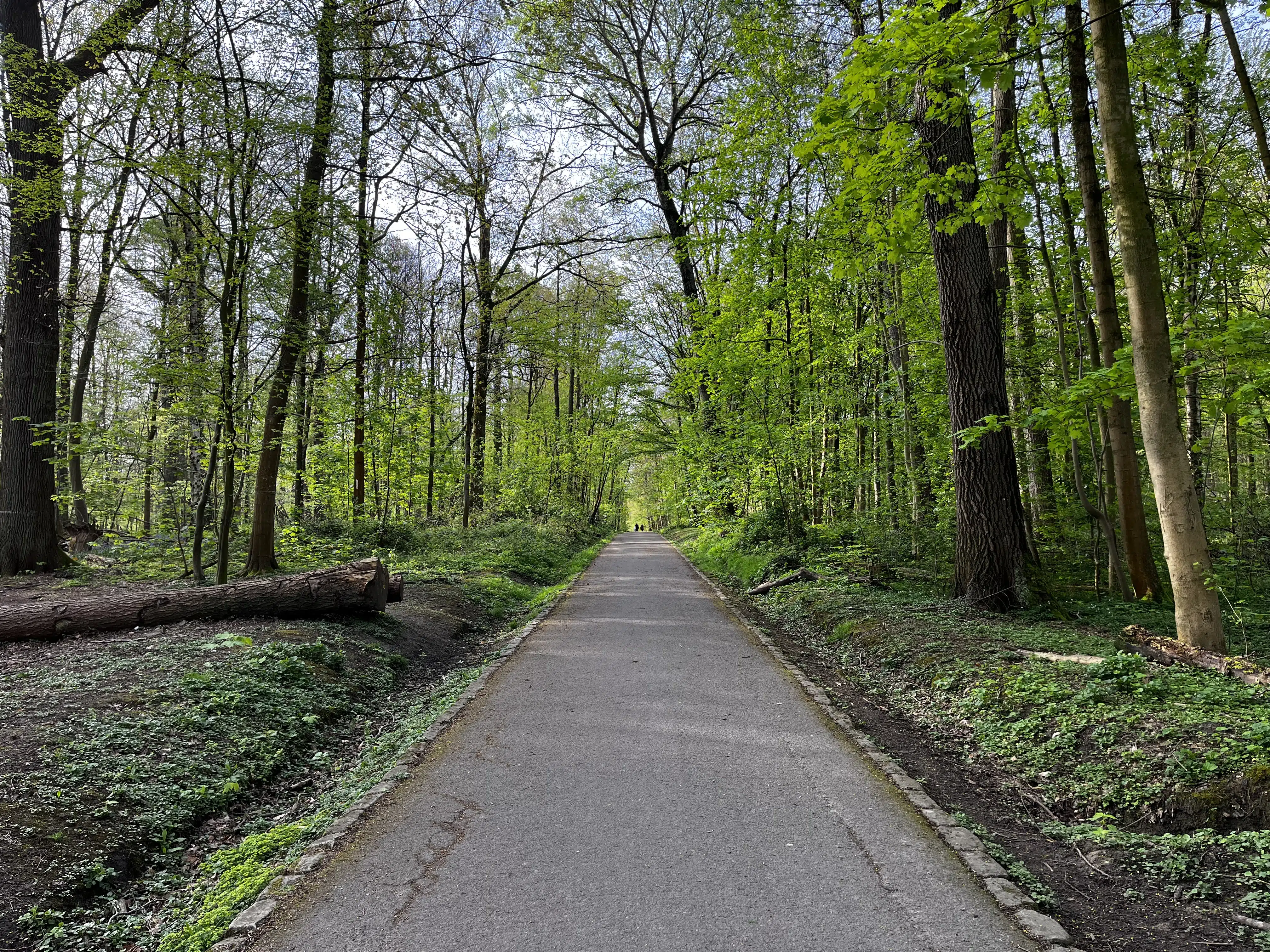 Starting point of view