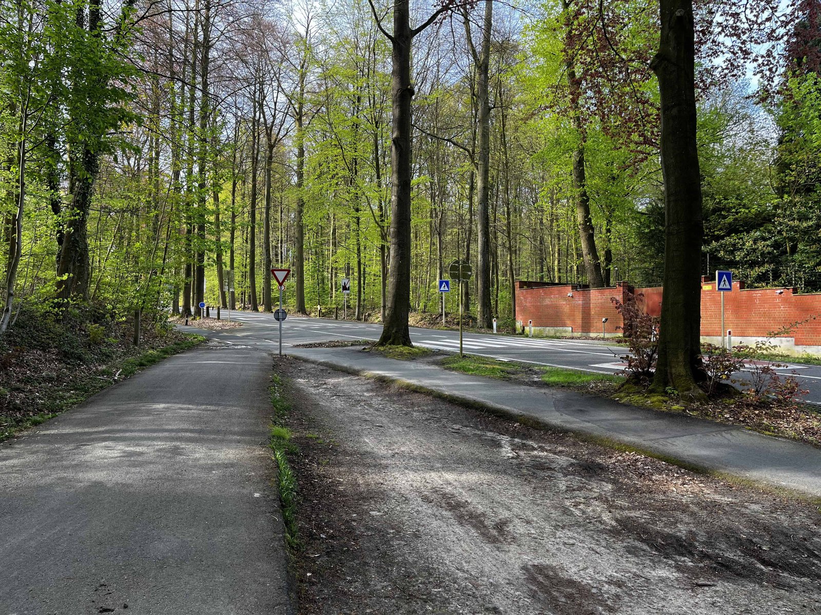 Brussels's Sonian Forest: Worth a Visit in 2026? (REVIEW) 7 Sometimes you have to cross a road that runs through the forest.