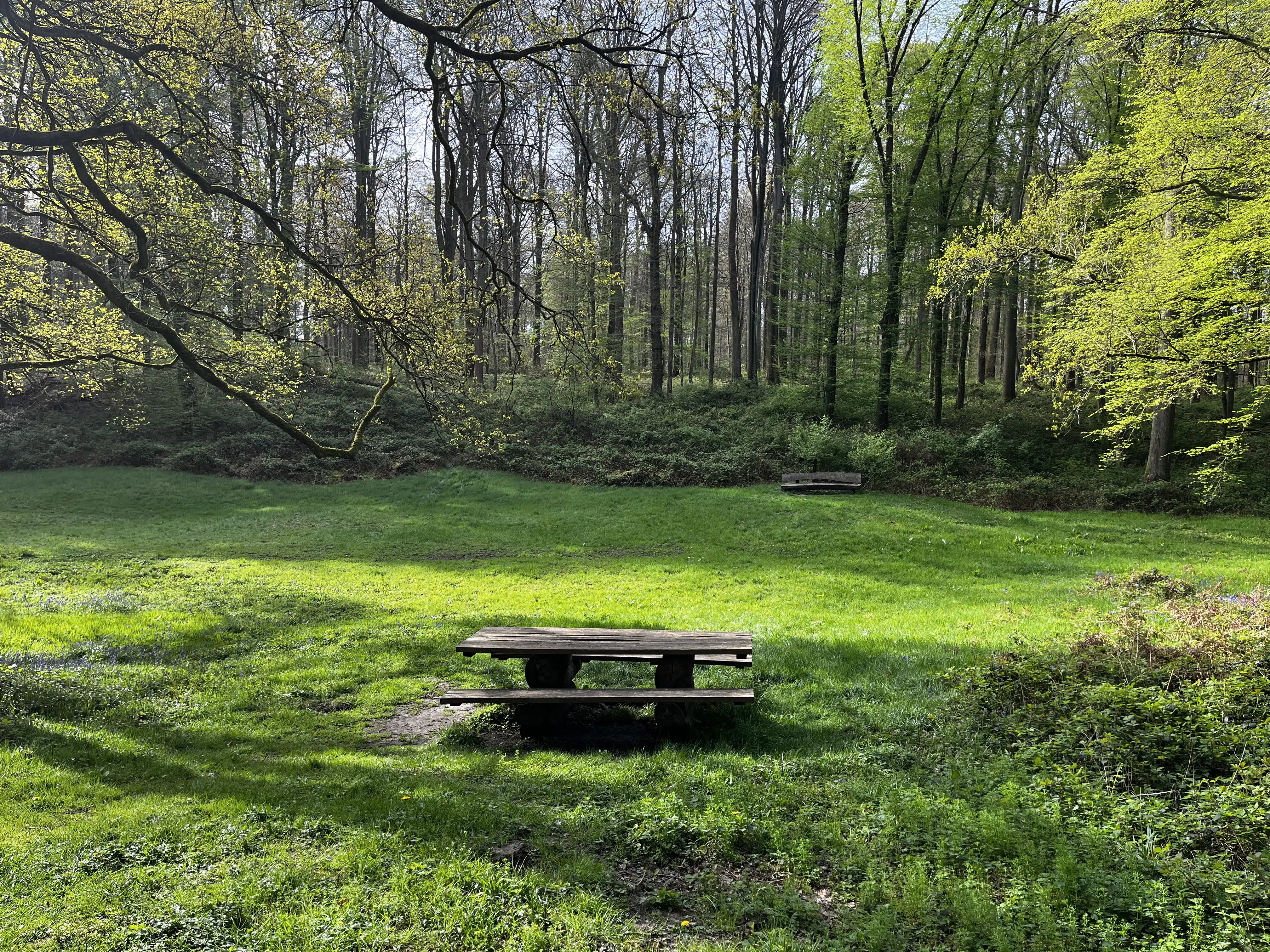 We passed a pic nic spot on our hike