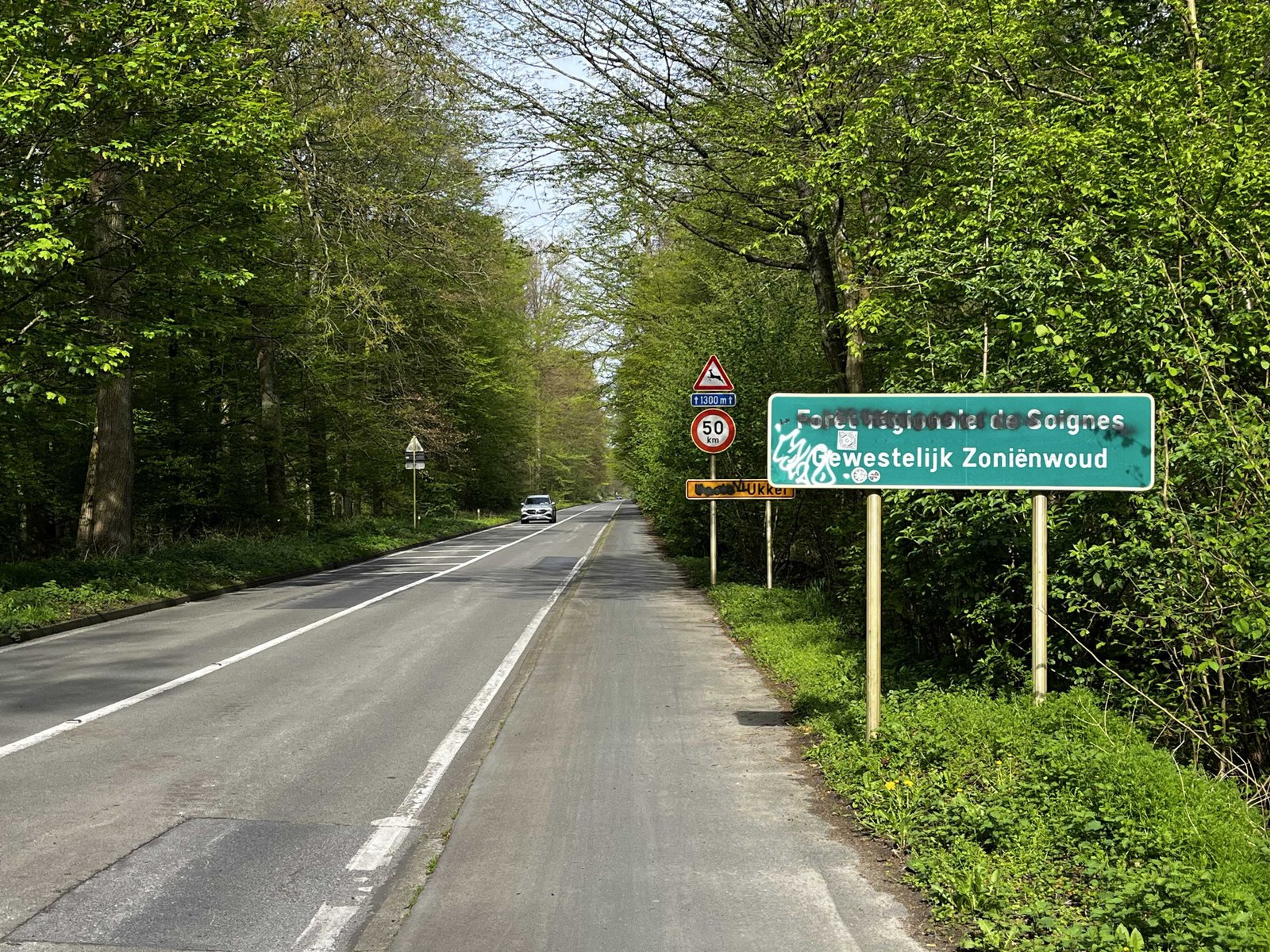 Brussels's Sonian Forest: Worth a Visit in 2026? (REVIEW) 5 South Side of the Sonian Forest