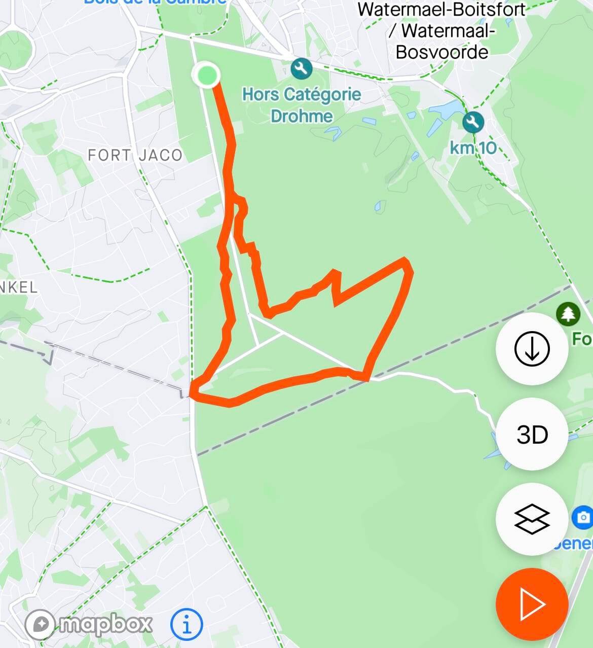 Brussels's Sonian Forest: Worth a Visit in 2026? (REVIEW) 3 Our hike in the Sonian Forest. Check out below for more information!