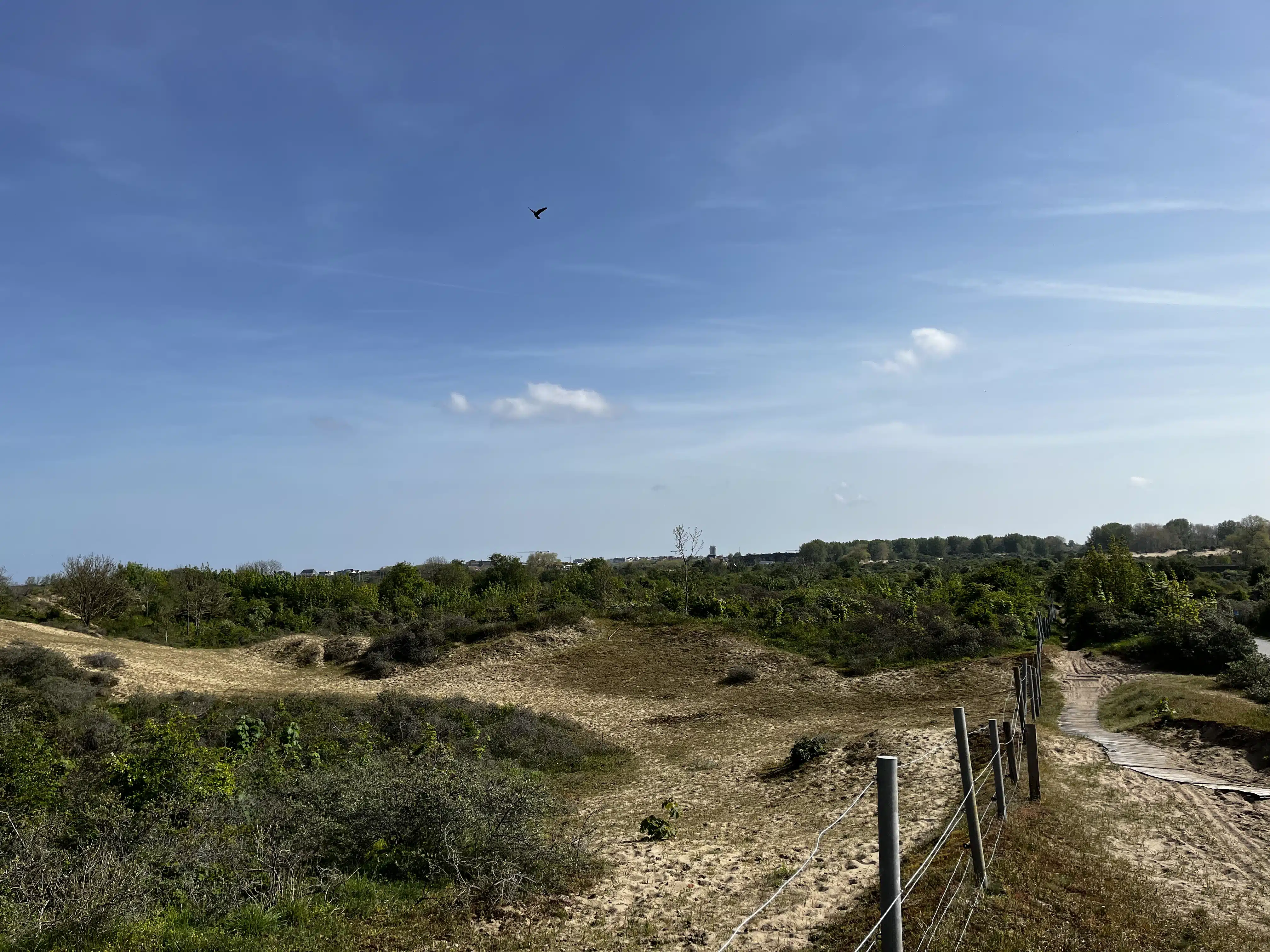 Entering the dunes within 5 minutes