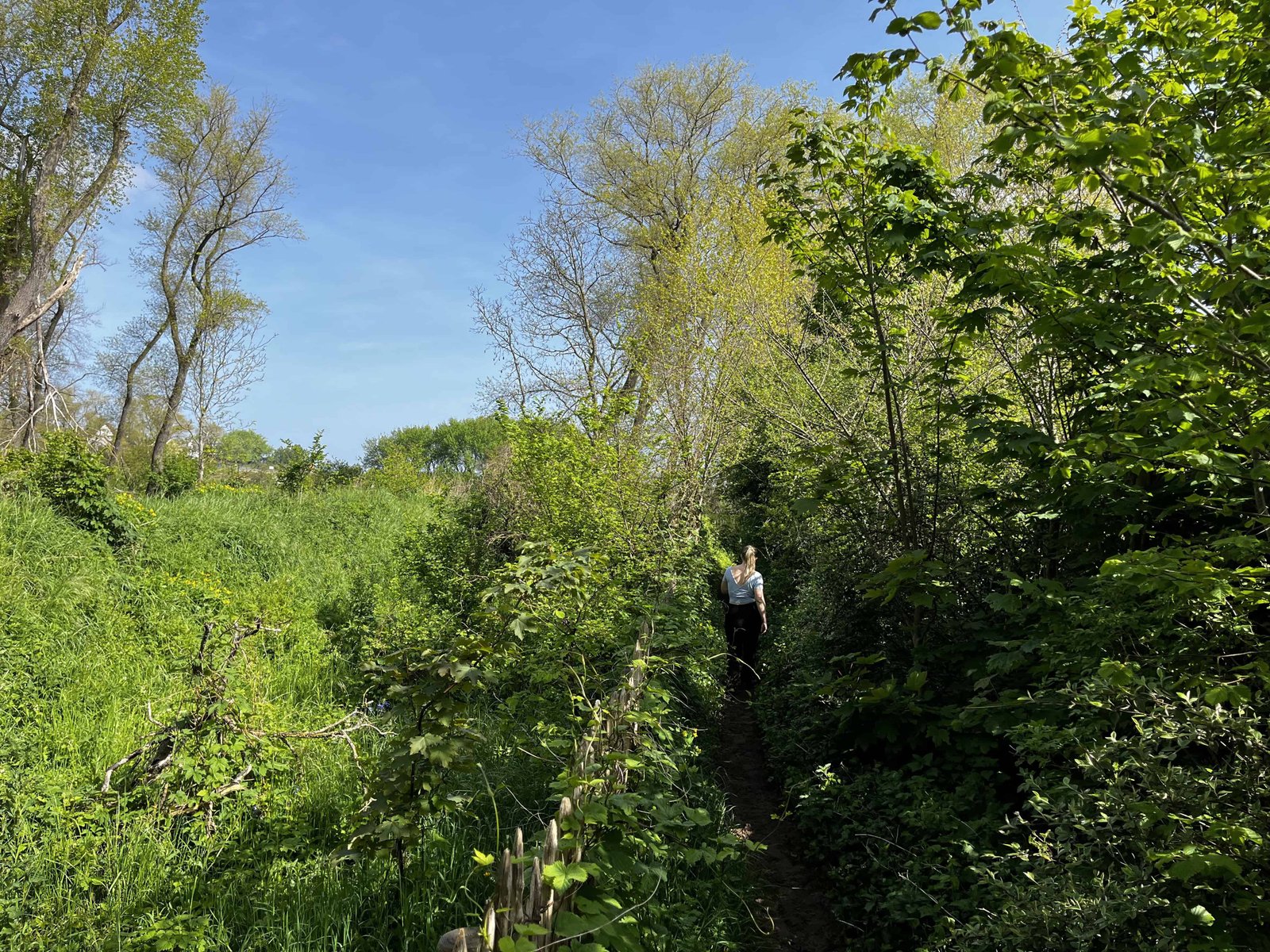Doornpanne Hoge Blekker: Worth the hike? 16 Sometimes the trail is narrow!