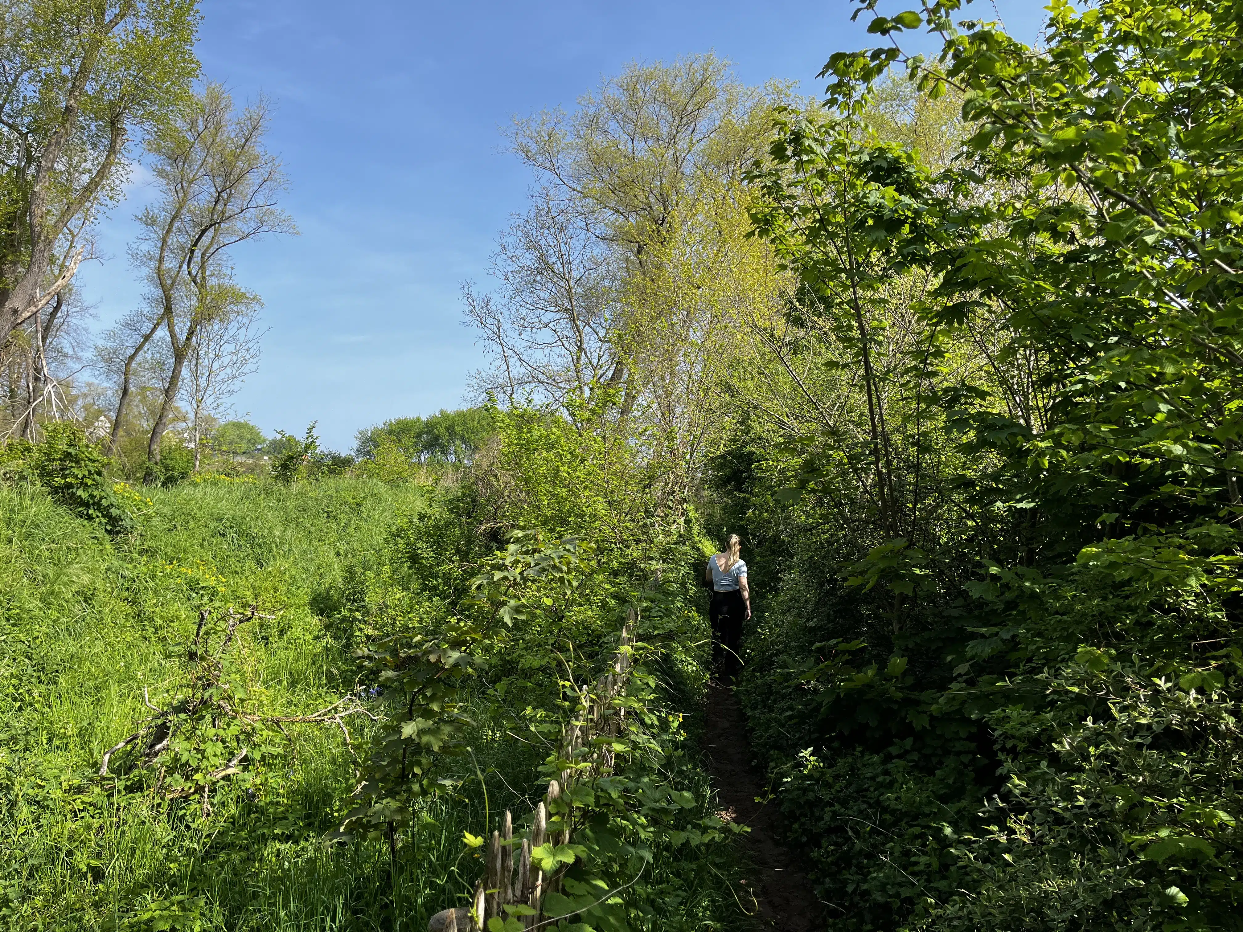 Sometimes the trail is narrow!