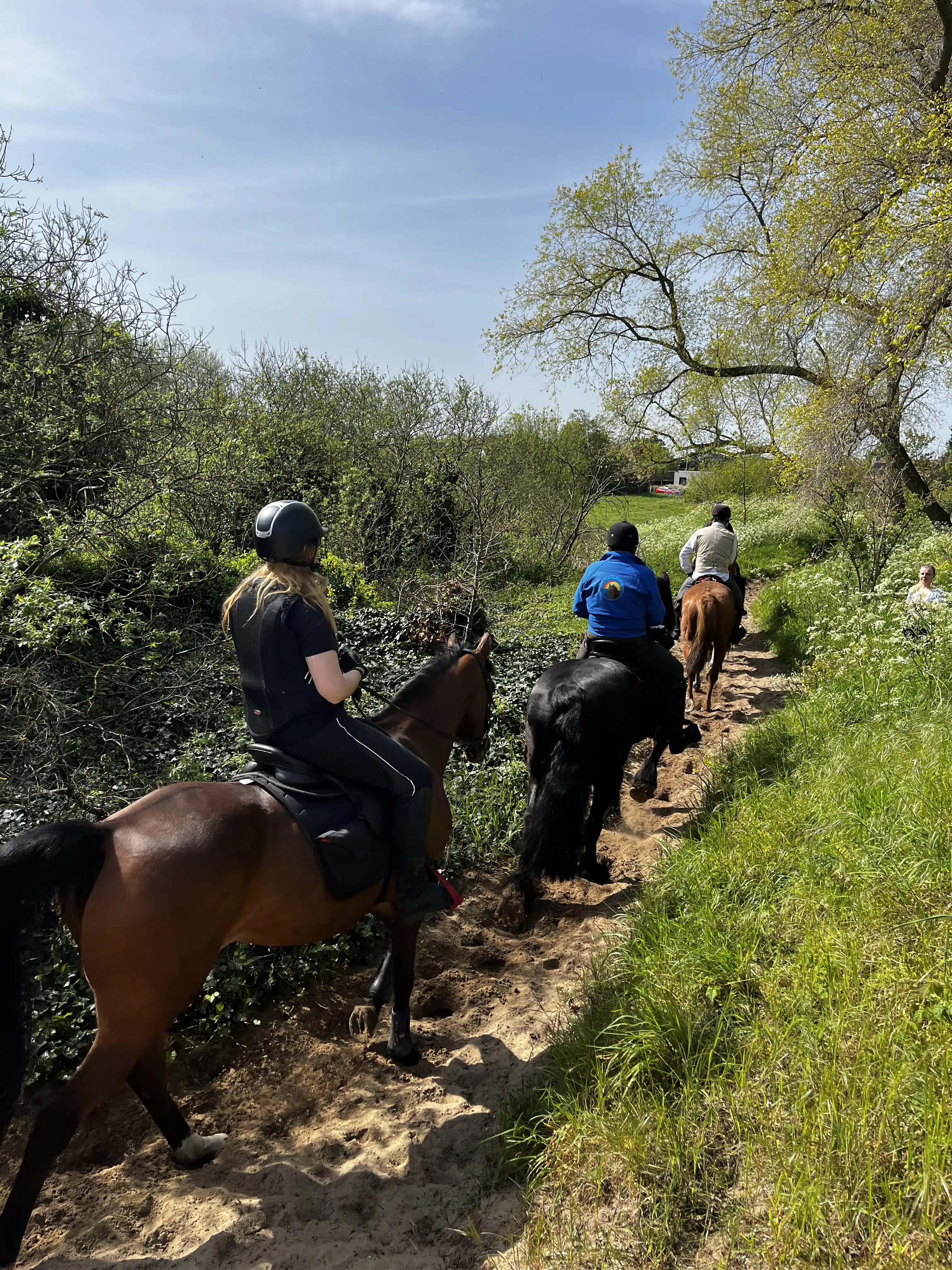 There are even horses on the trail!