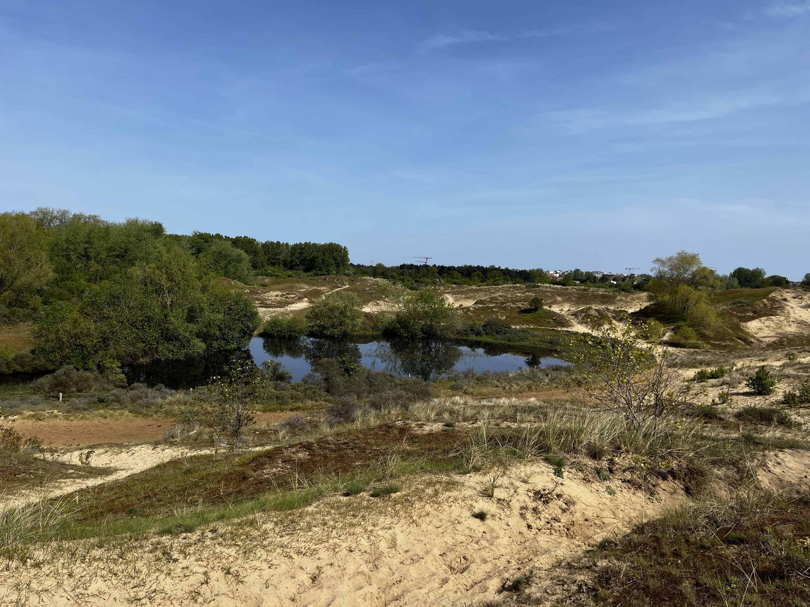 Doornpanne Hoge Blekker: Worth the hike? 8 Views on the protected lake