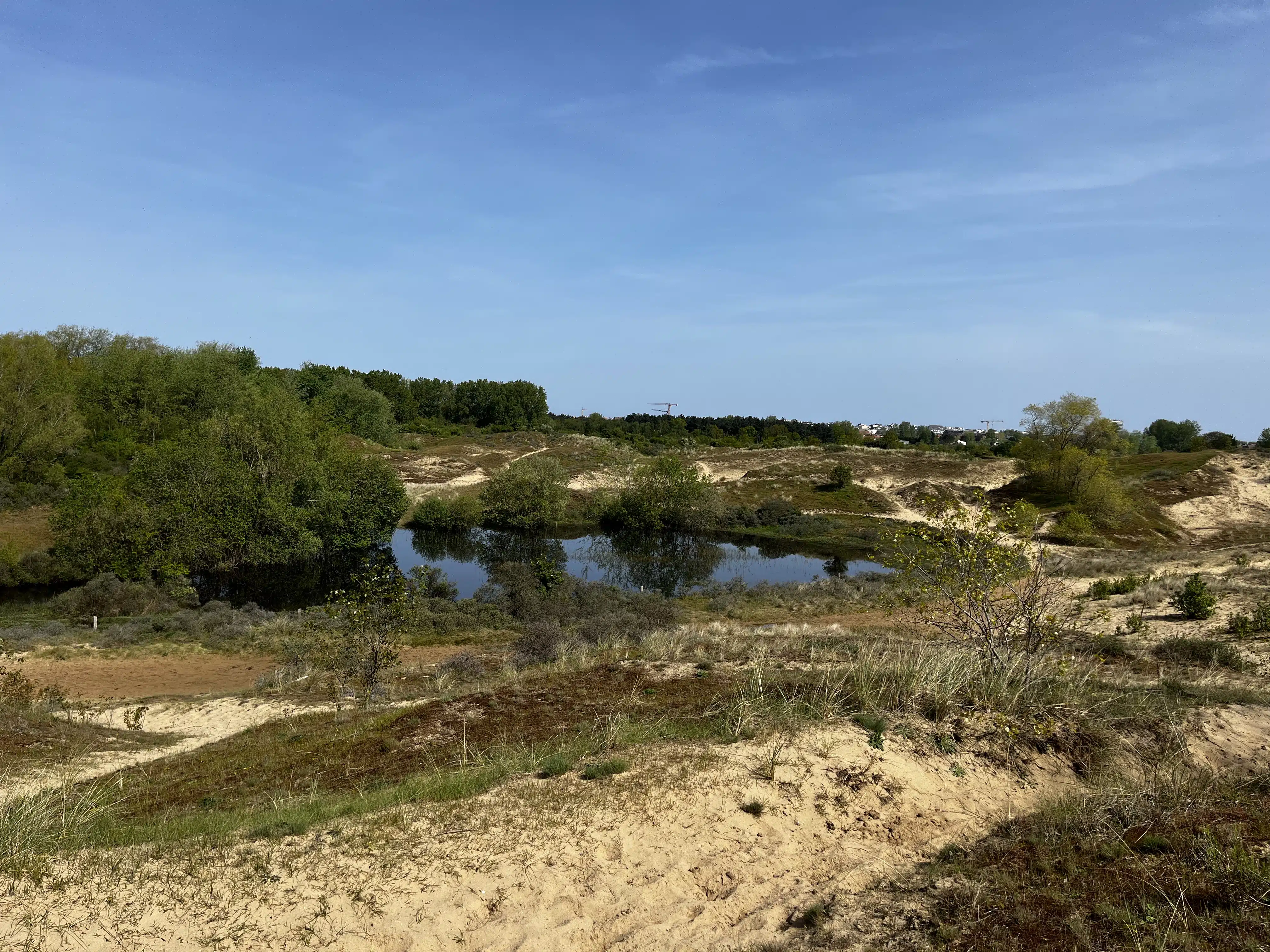 Views on the protected lake