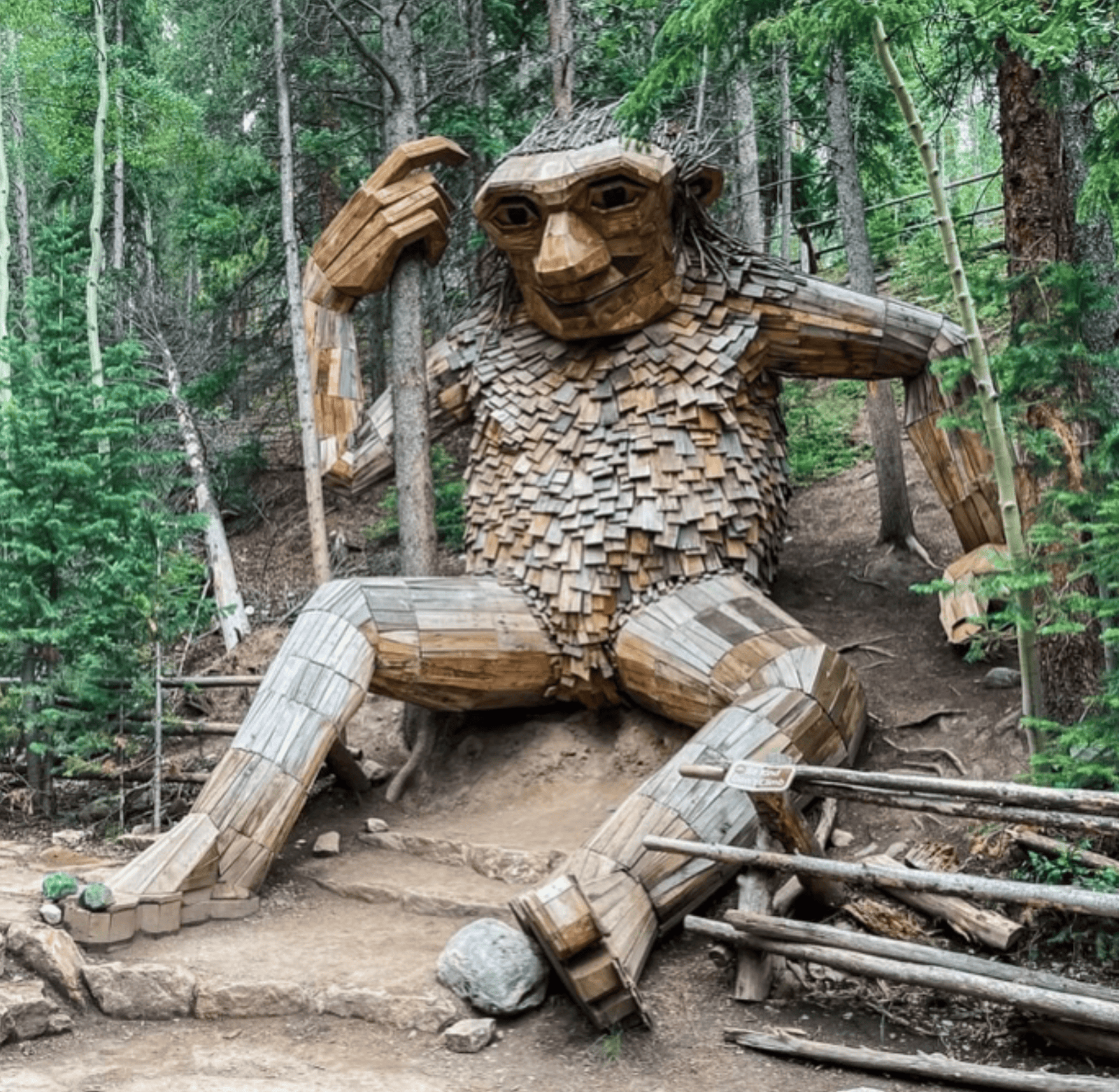 Breckenridge Troll Hike: Worth It (2026 Guide) 1 Breckenridge Troll in wood.