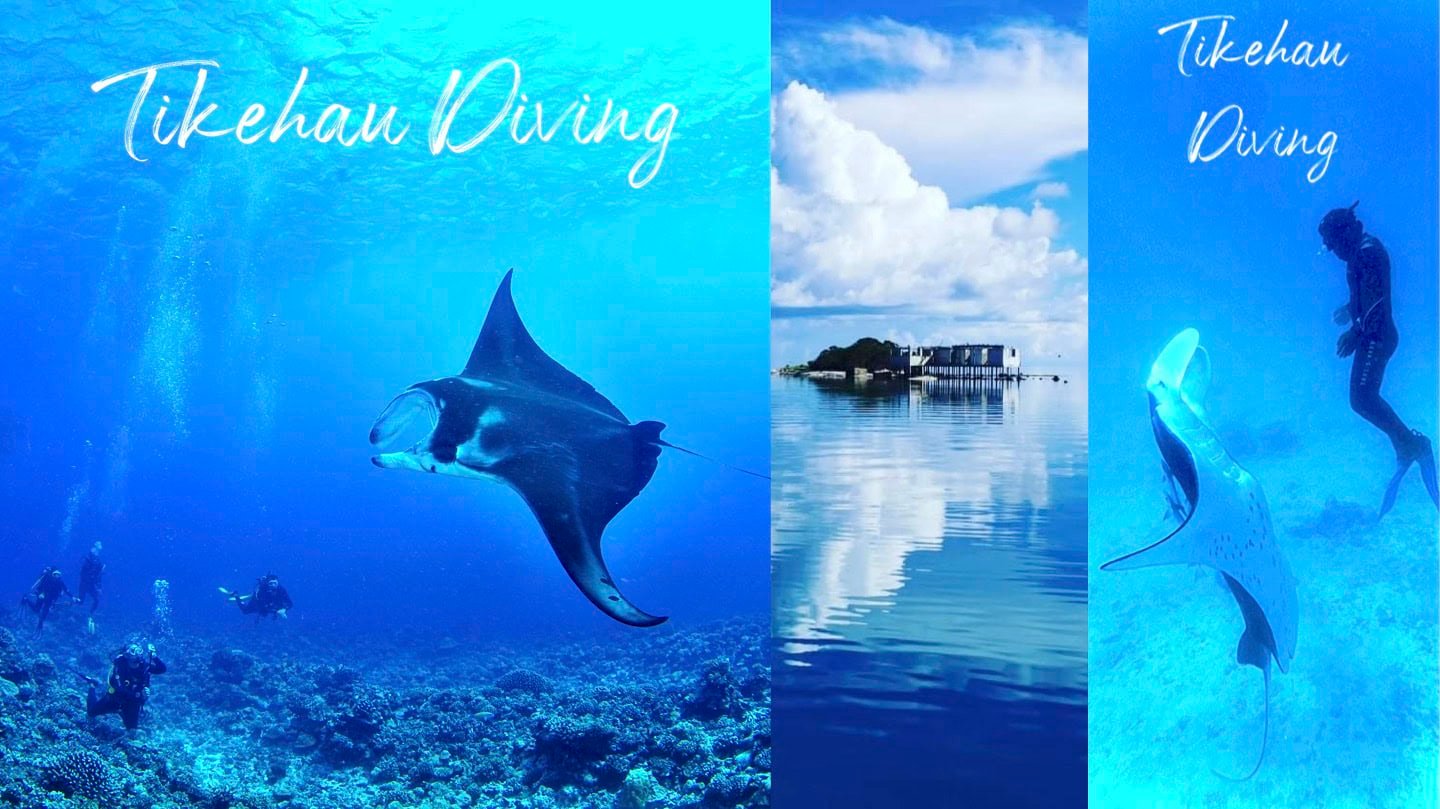 Traveling To French Polynesia: 26 Things You Must Know! 29 Tikehau Diving logo with a Manta ray, a diver and a boat