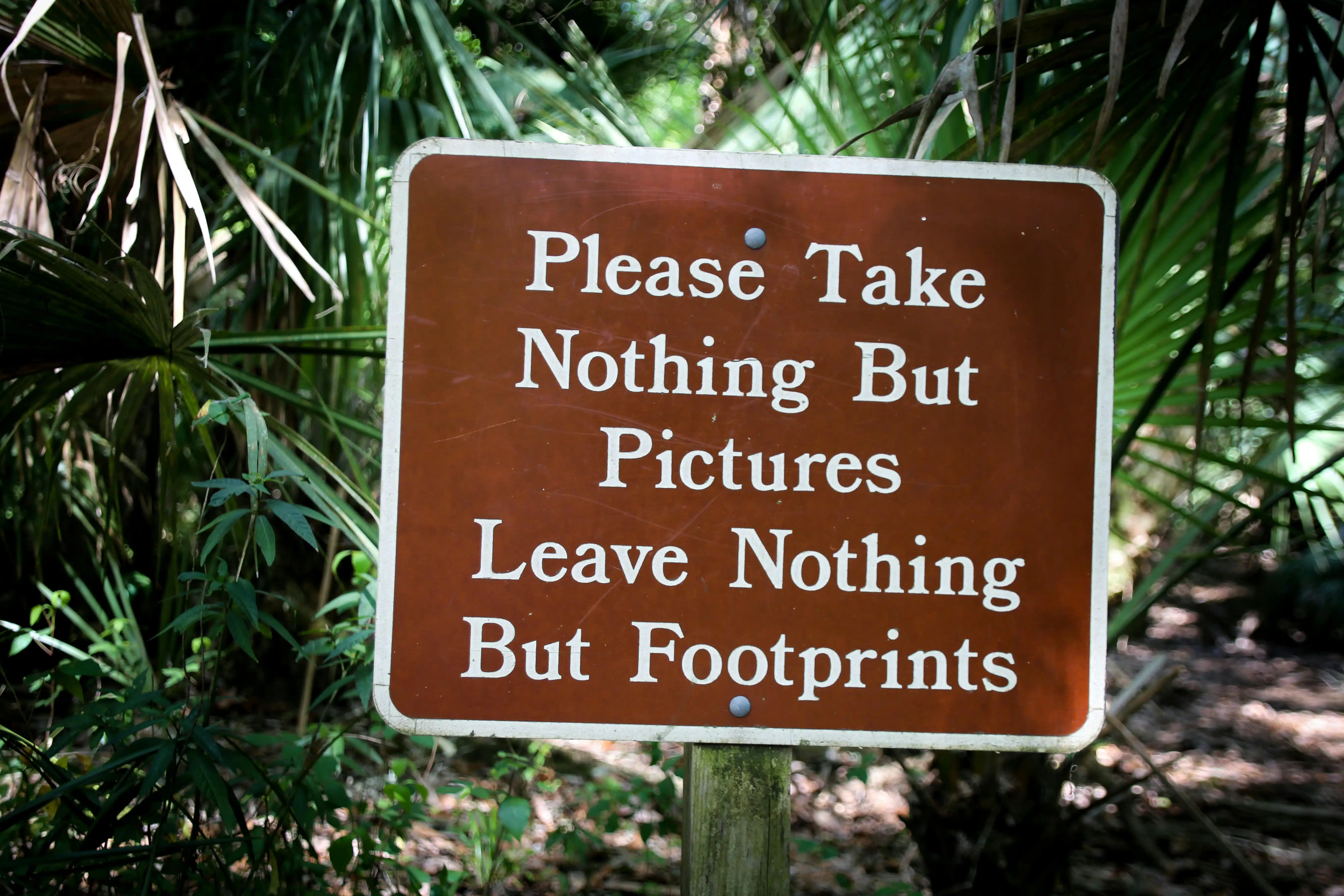 Leave no Trace Principle
