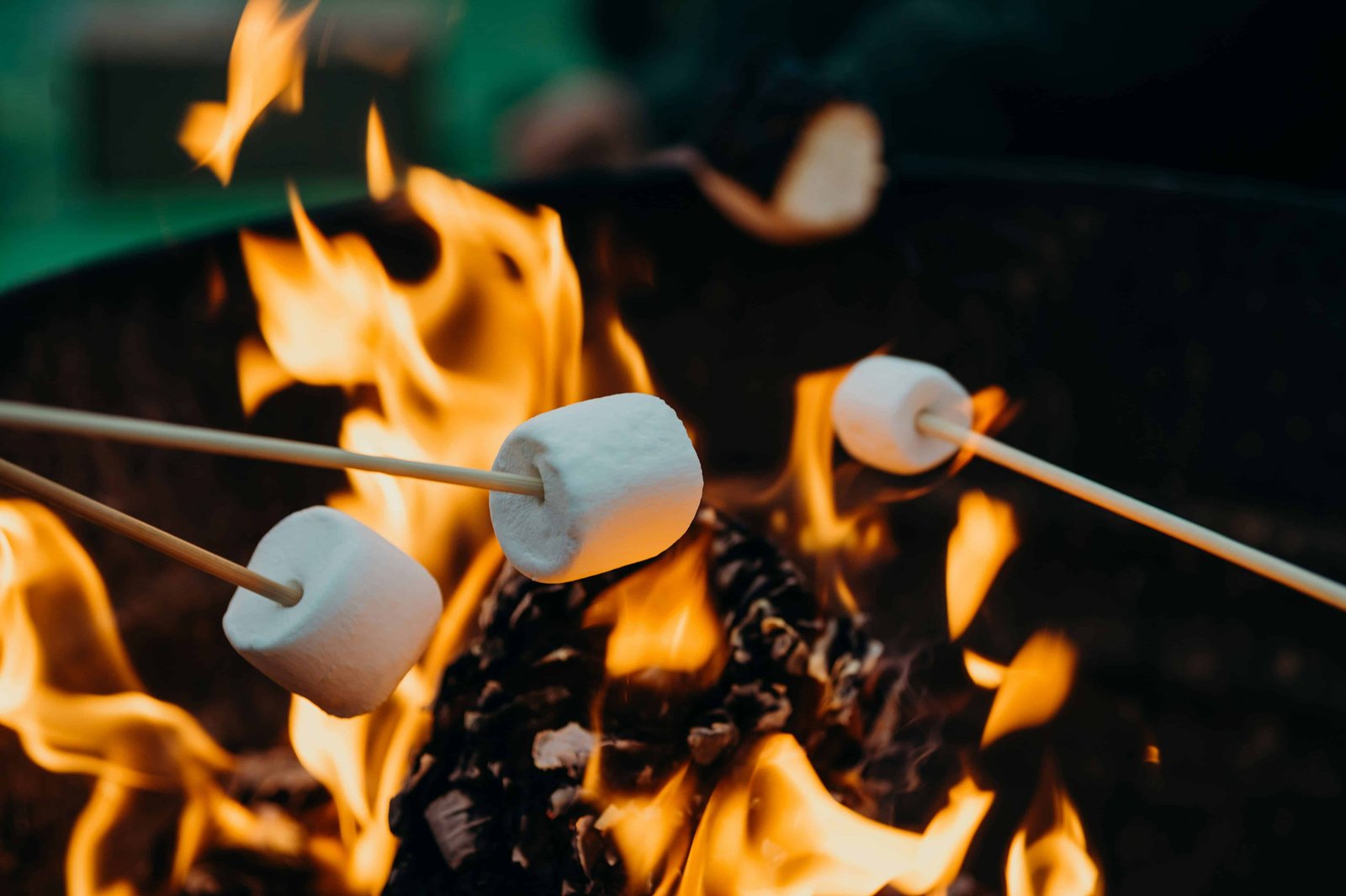 Leave No Trace Principle: Seven Key Points 8 Campfire