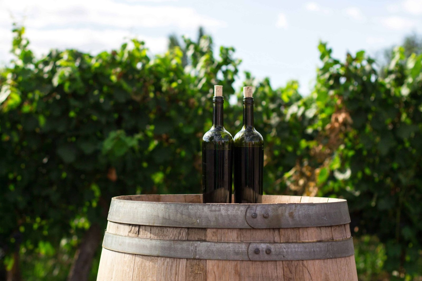 Top Things To Do When You Tour Umbria (2026) 1 Wine tasting tour