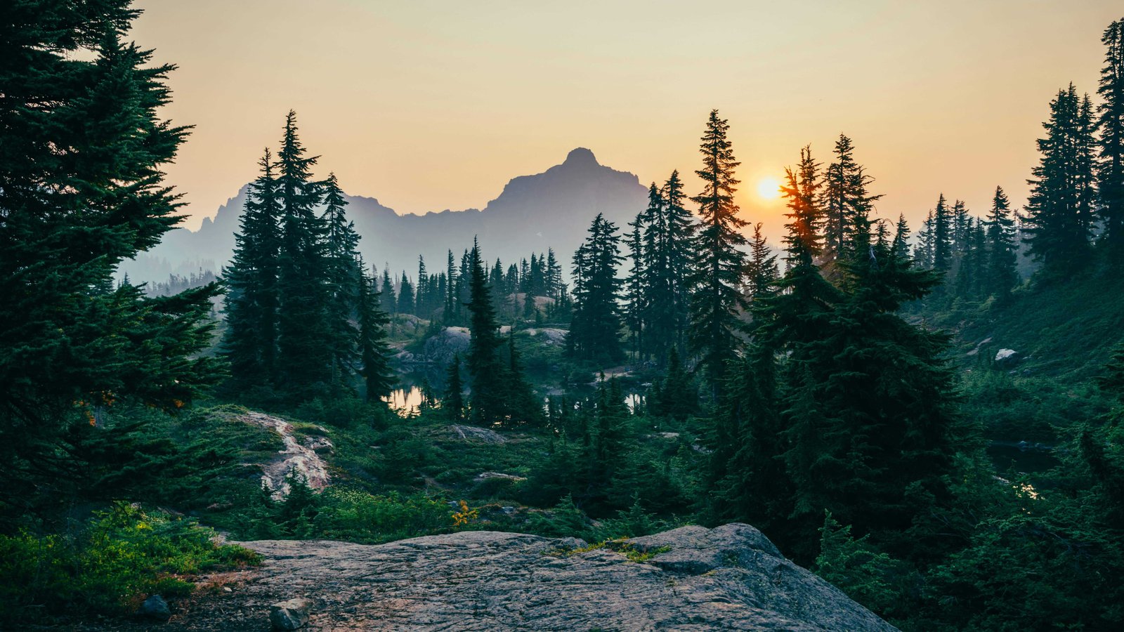 Leave No Trace Principle: Seven Key Points 7 Leave what you find