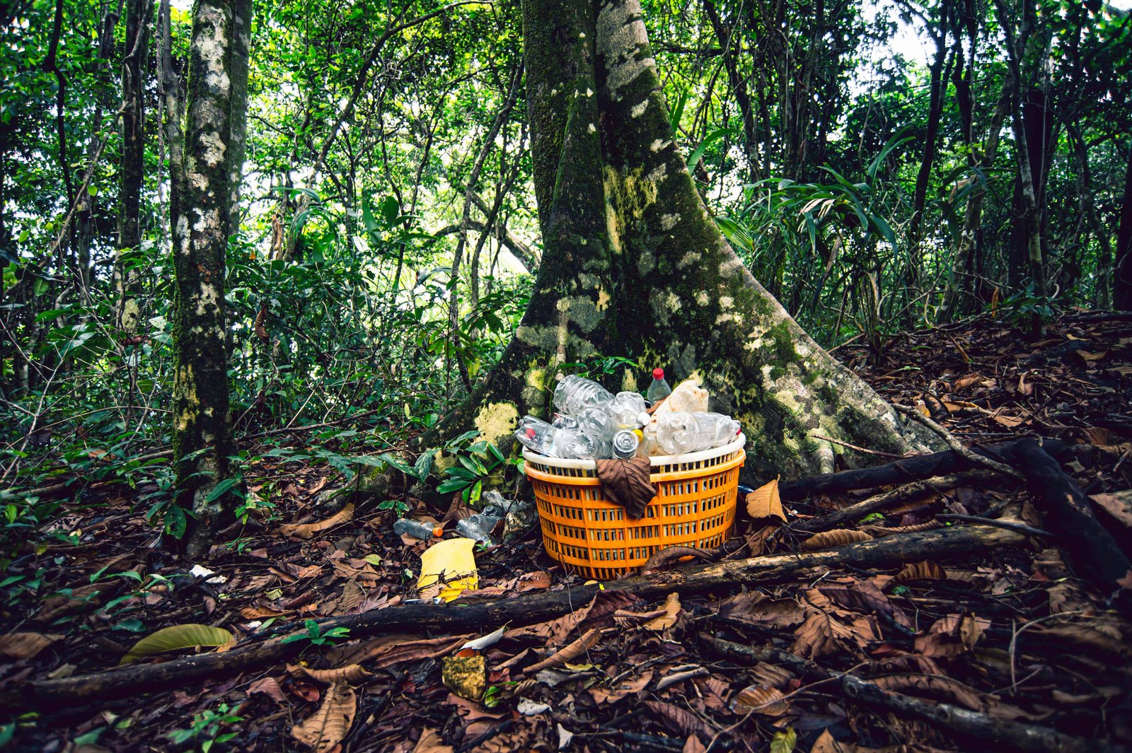Leave No Trace Principle: Seven Key Points 2 Forest Waste