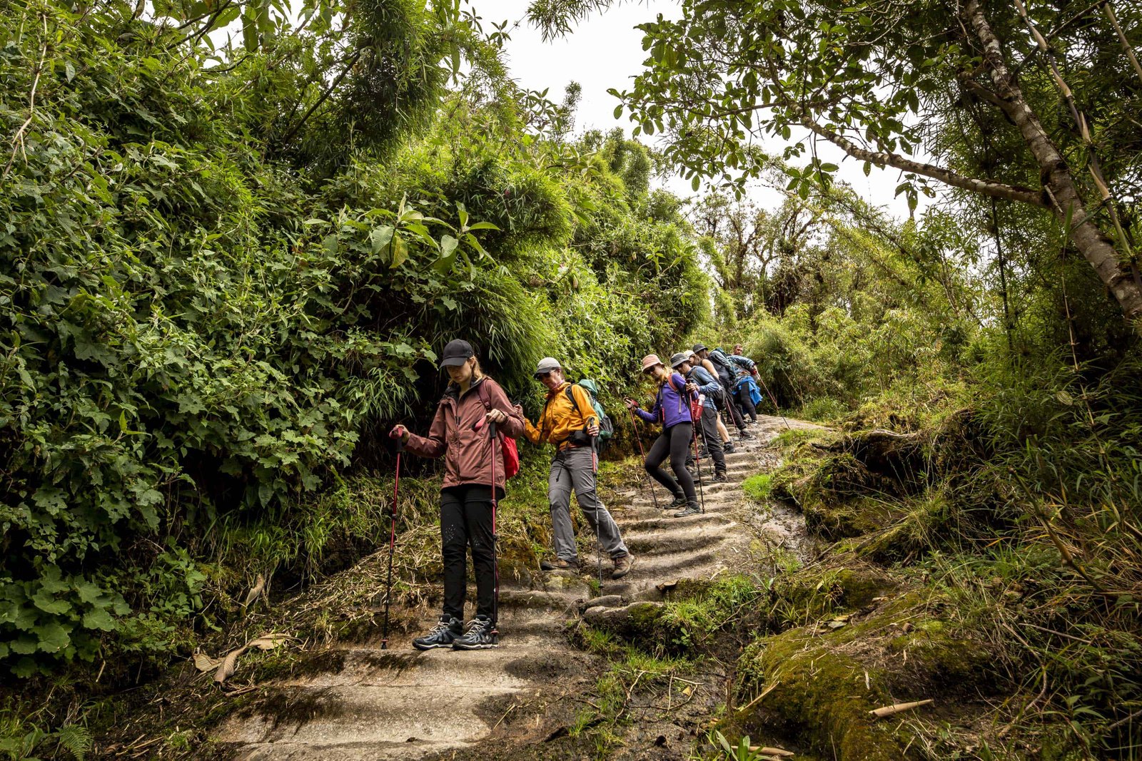 6 Reasons To Hike The Inca Trail In Peru 2 Diverse Ecosystems on the Inca Trail