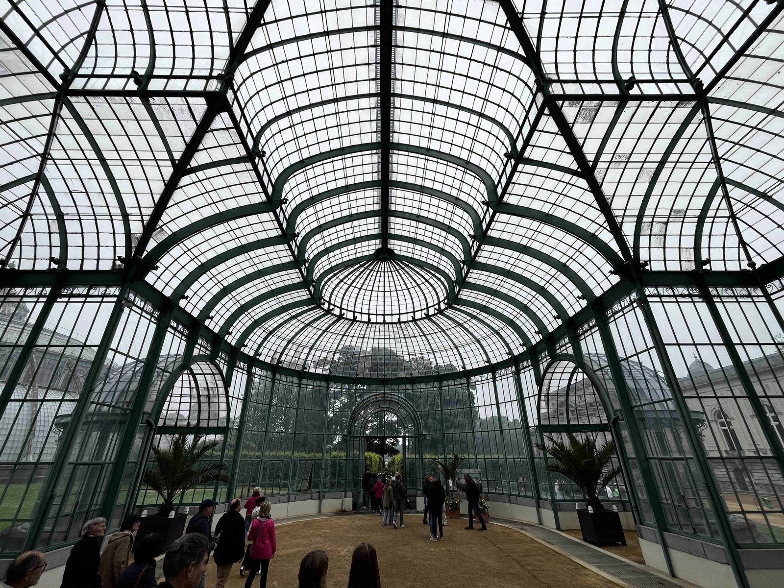 How to Visit the Royal Greenhouses of Laeken in 2026? 4 Royal Greenhouses of Laeken