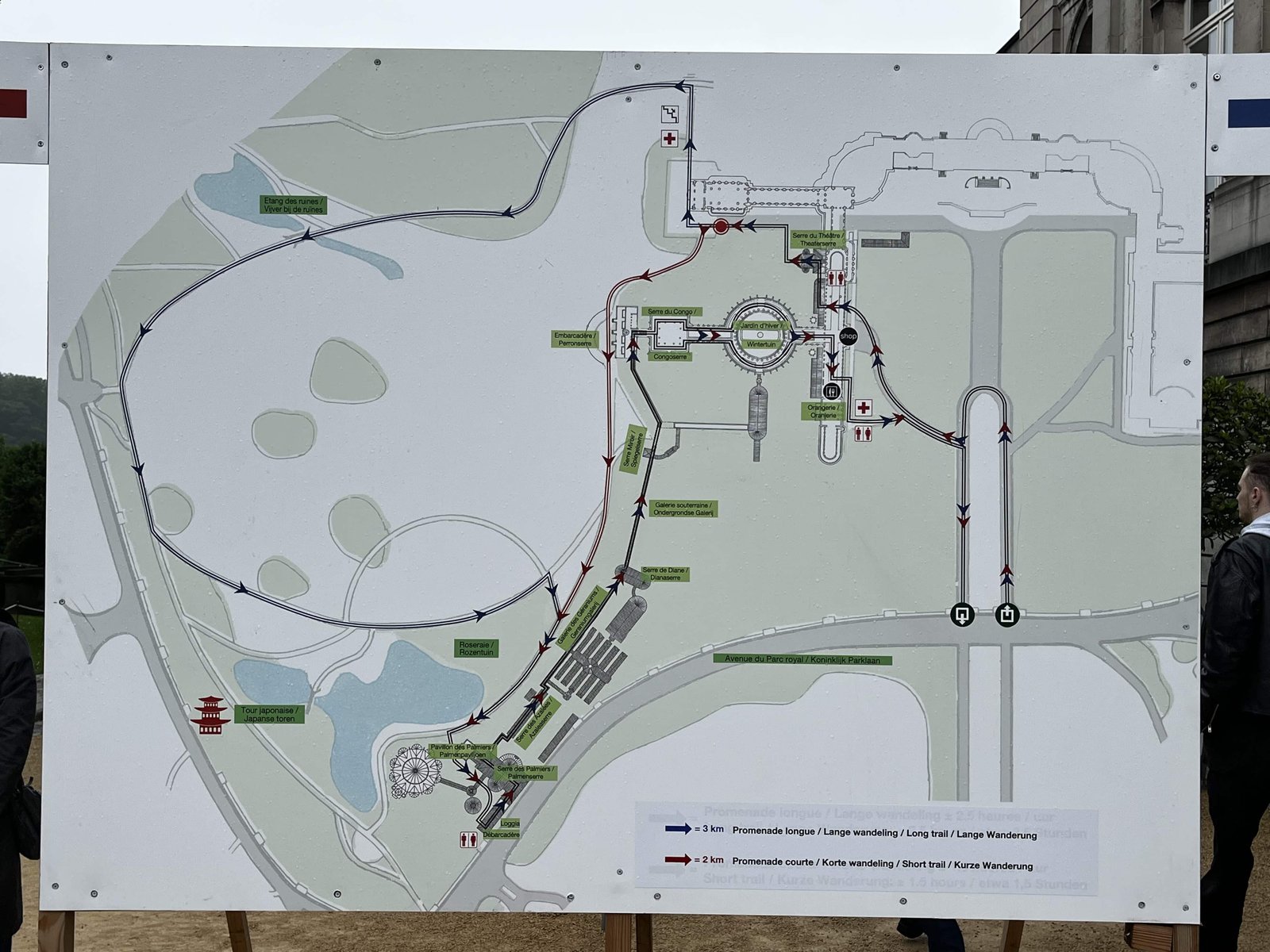 How to Visit the Royal Greenhouses of Laeken in 2026? 5 Tour of the Royal greenhouses