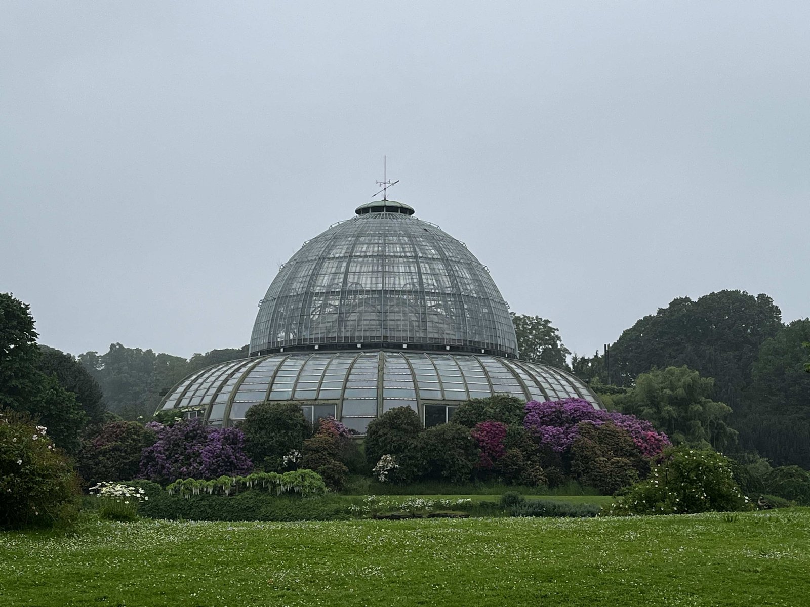 How to Visit the Royal Greenhouses of Laeken in 2026? 14 Congo Greenhouse