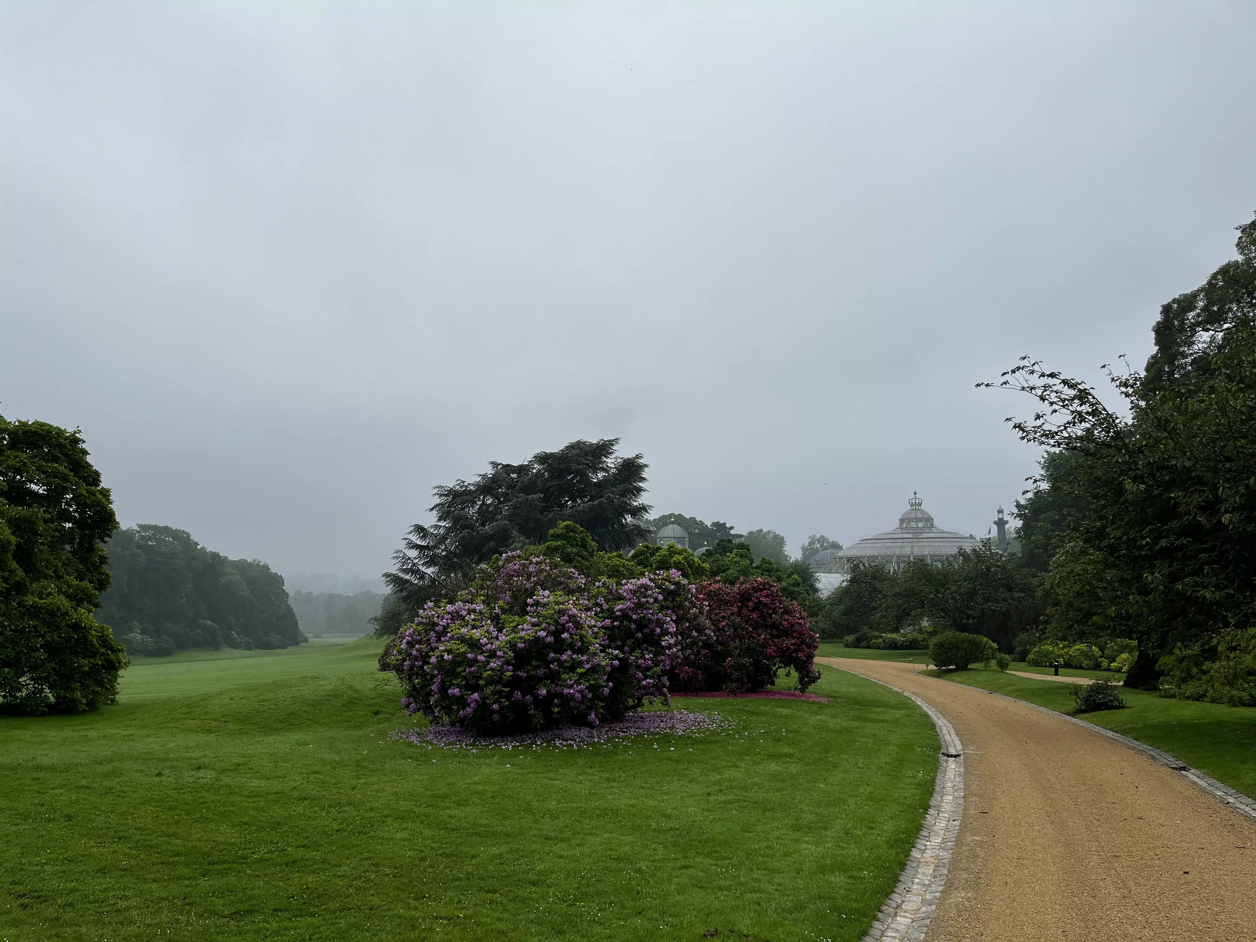 History of the Royal greenhouses