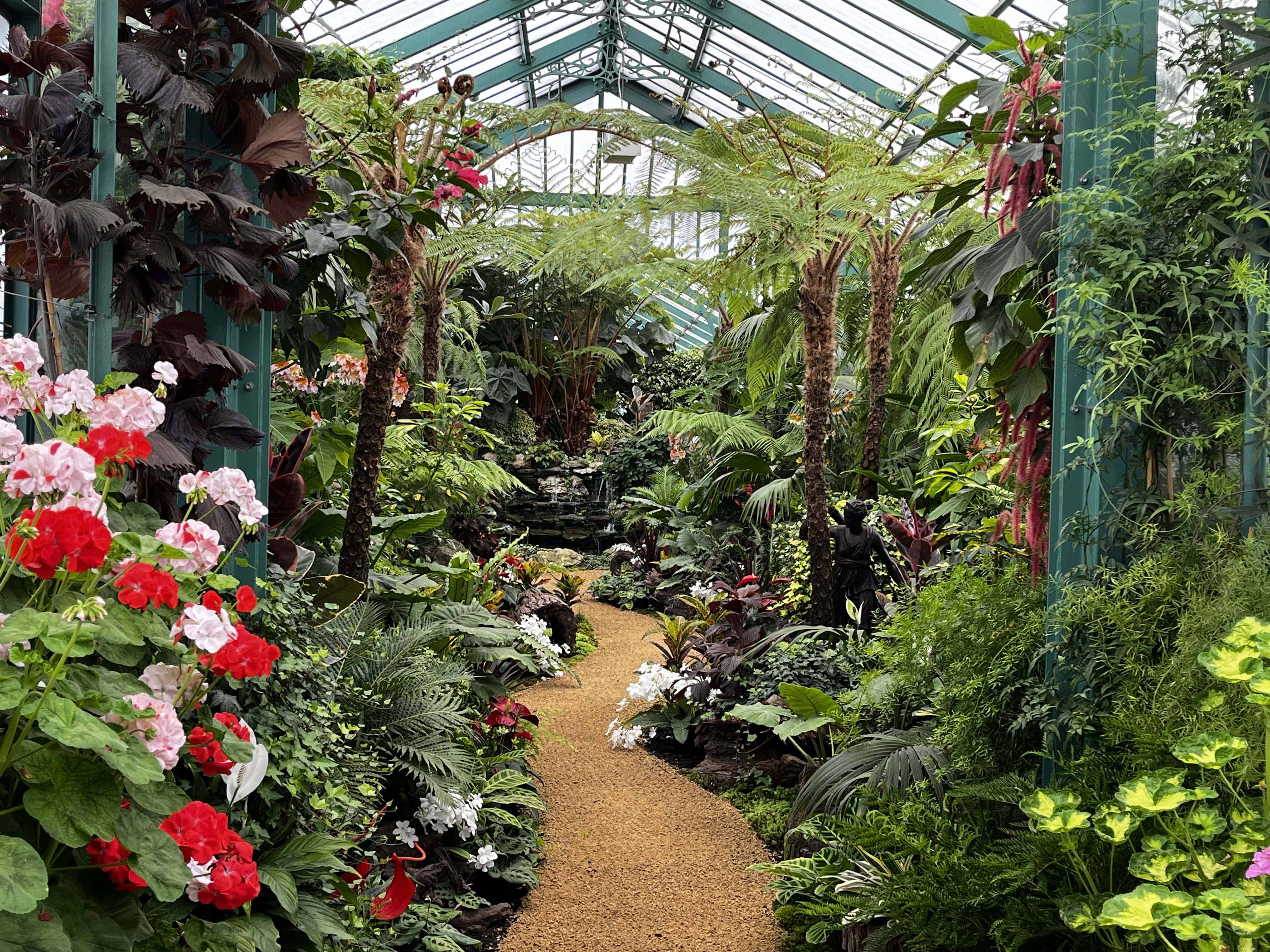 Walking among the many different plants.