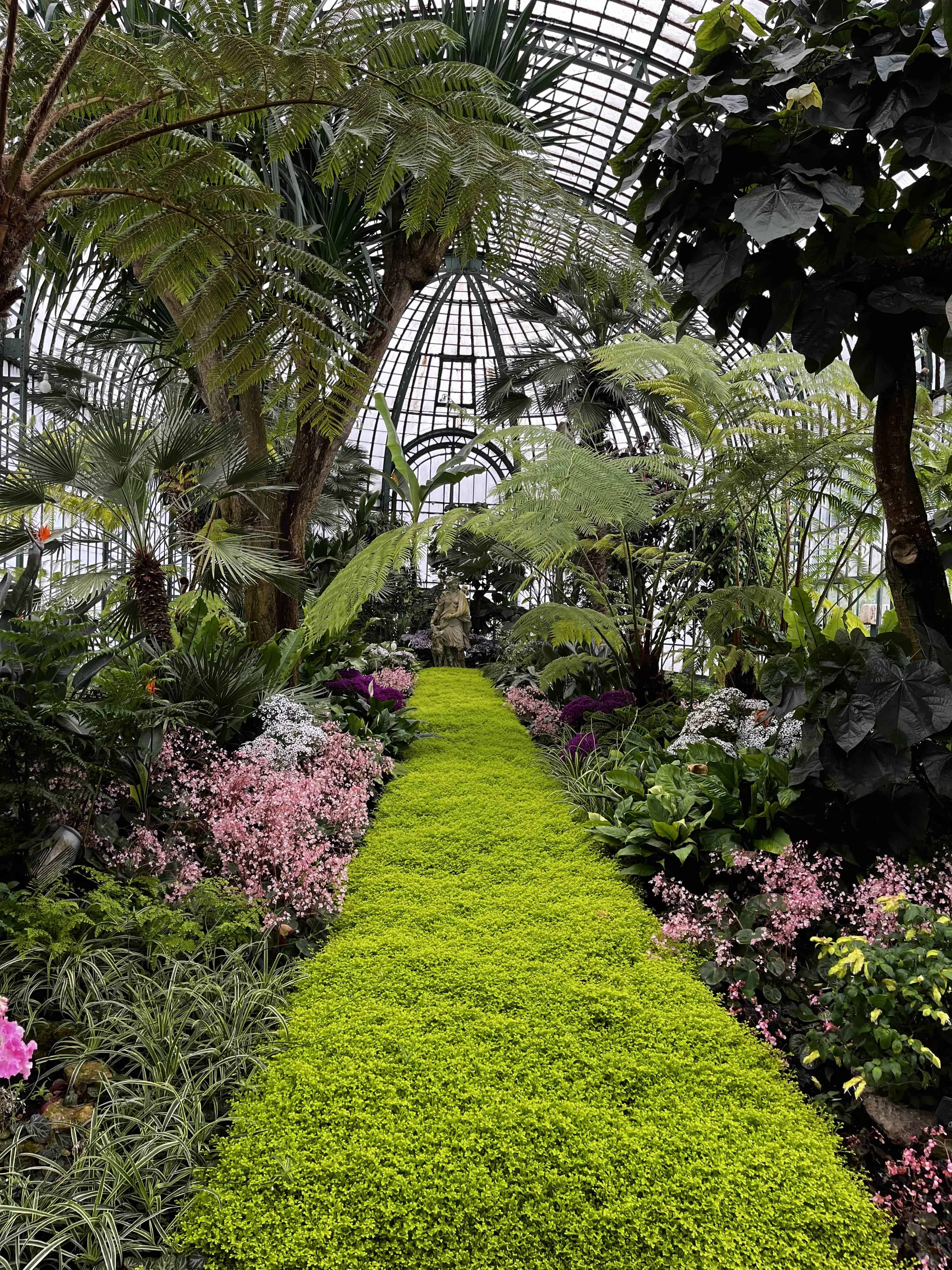 Beautiful nature at the Royal Greenhouses