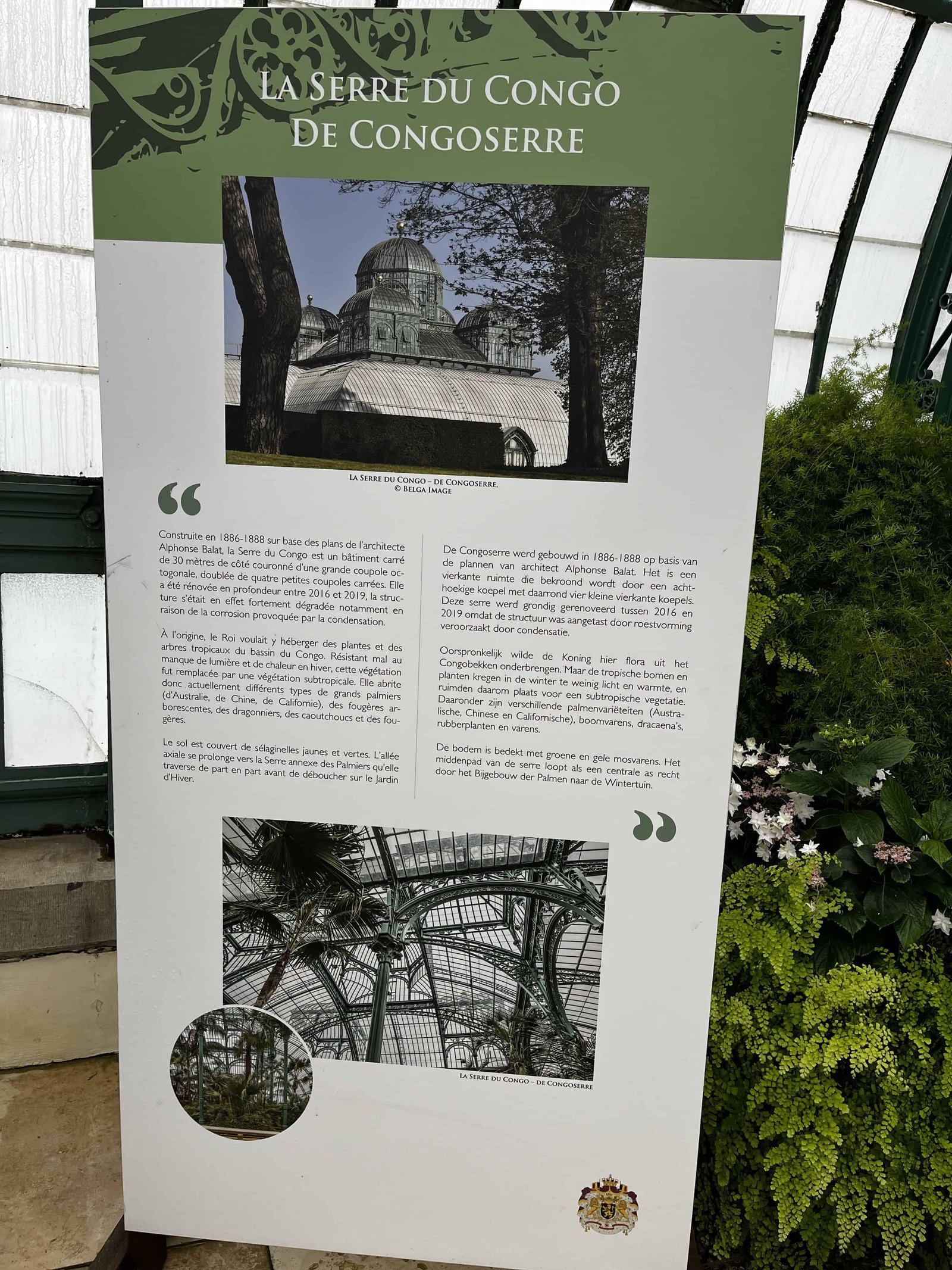 How to Visit the Royal Greenhouses of Laeken in 2026? 8 Congo Greenhouse