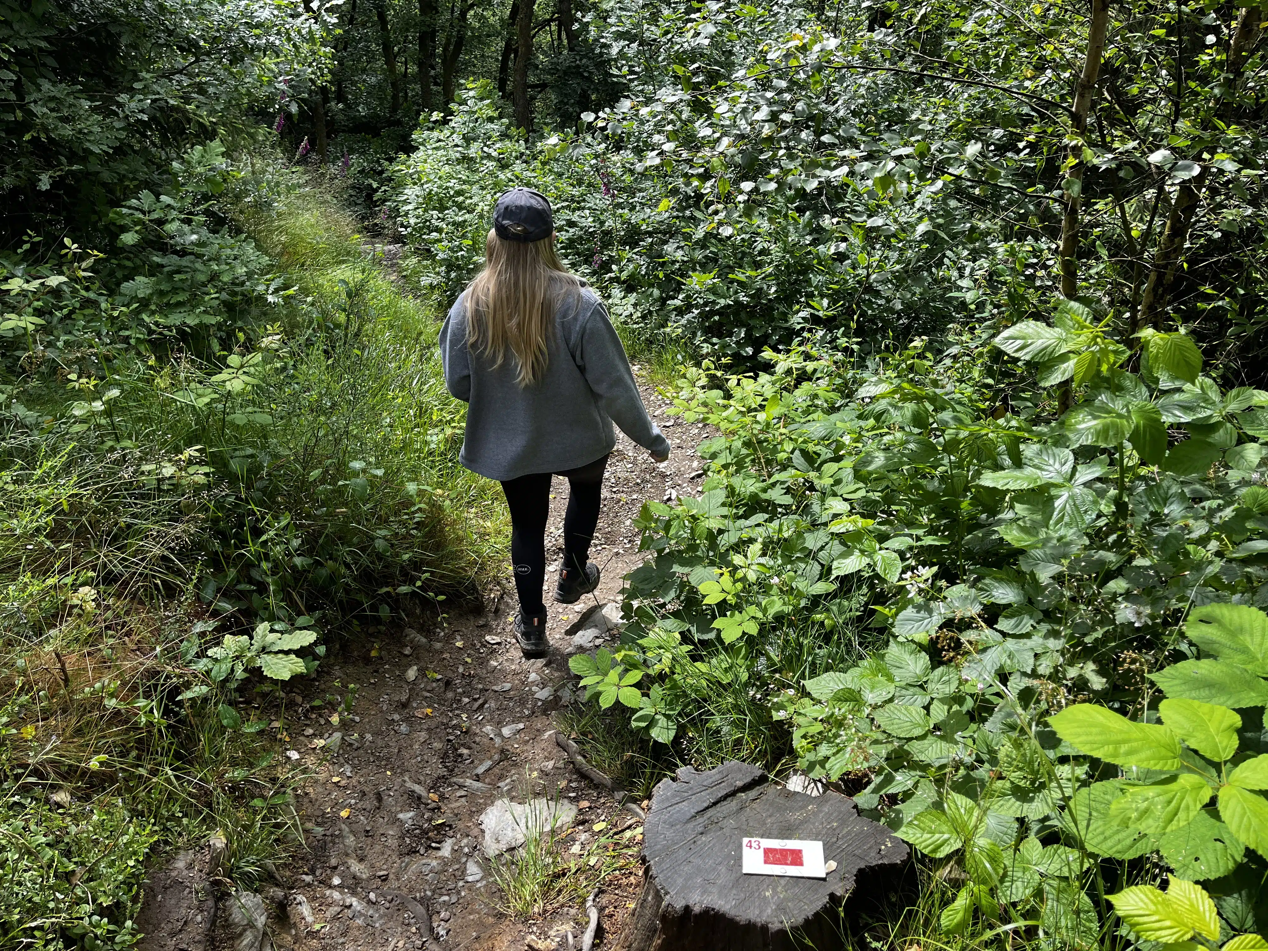 Searching for the trail