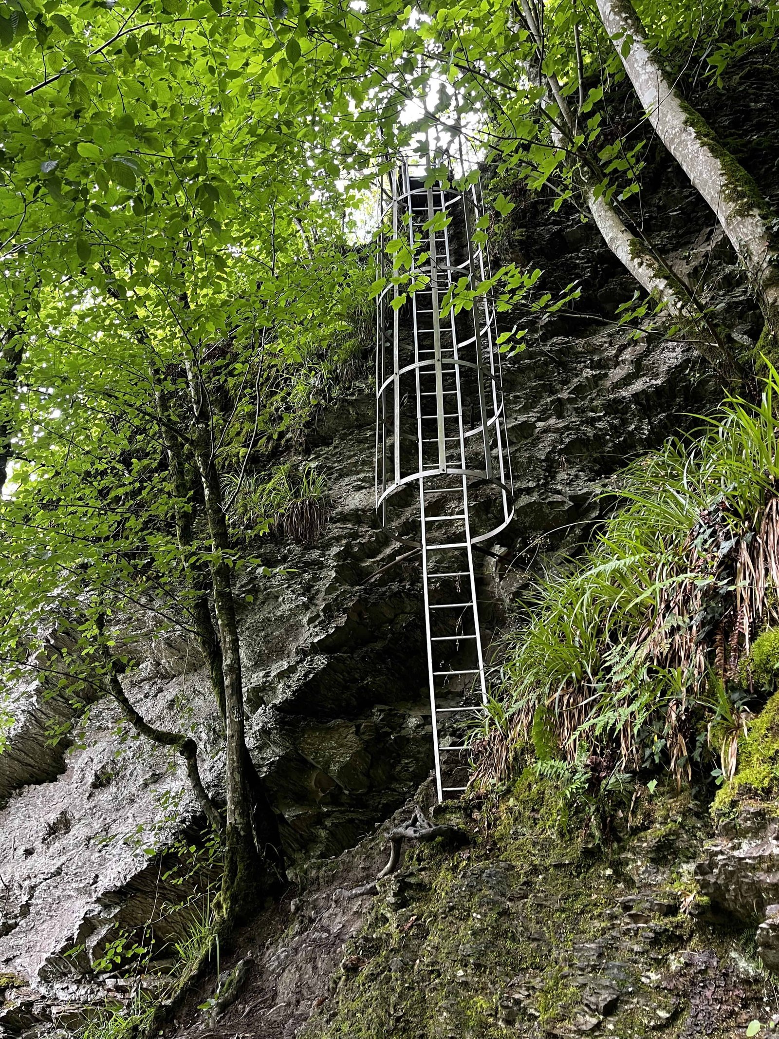 Balades des Echelles in Rochehaut Ardennes: Why Its Special 4 The Ladders on the Walk