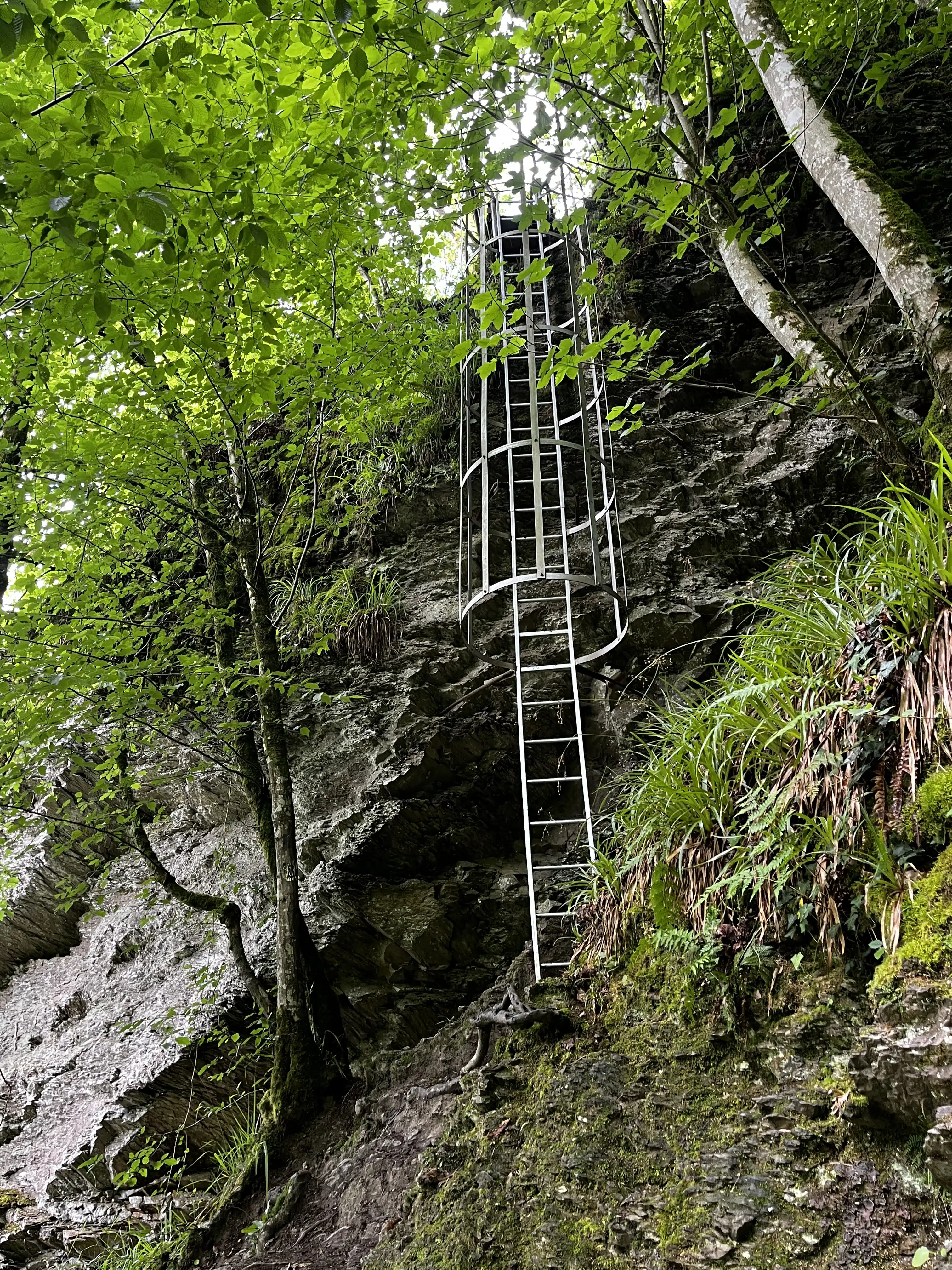 The Ladders on the Walk