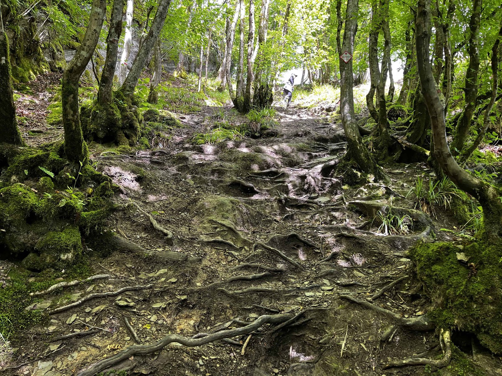 Balades des Echelles in Rochehaut Ardennes: Why Its Special 8 Ascent back to Rochehaut