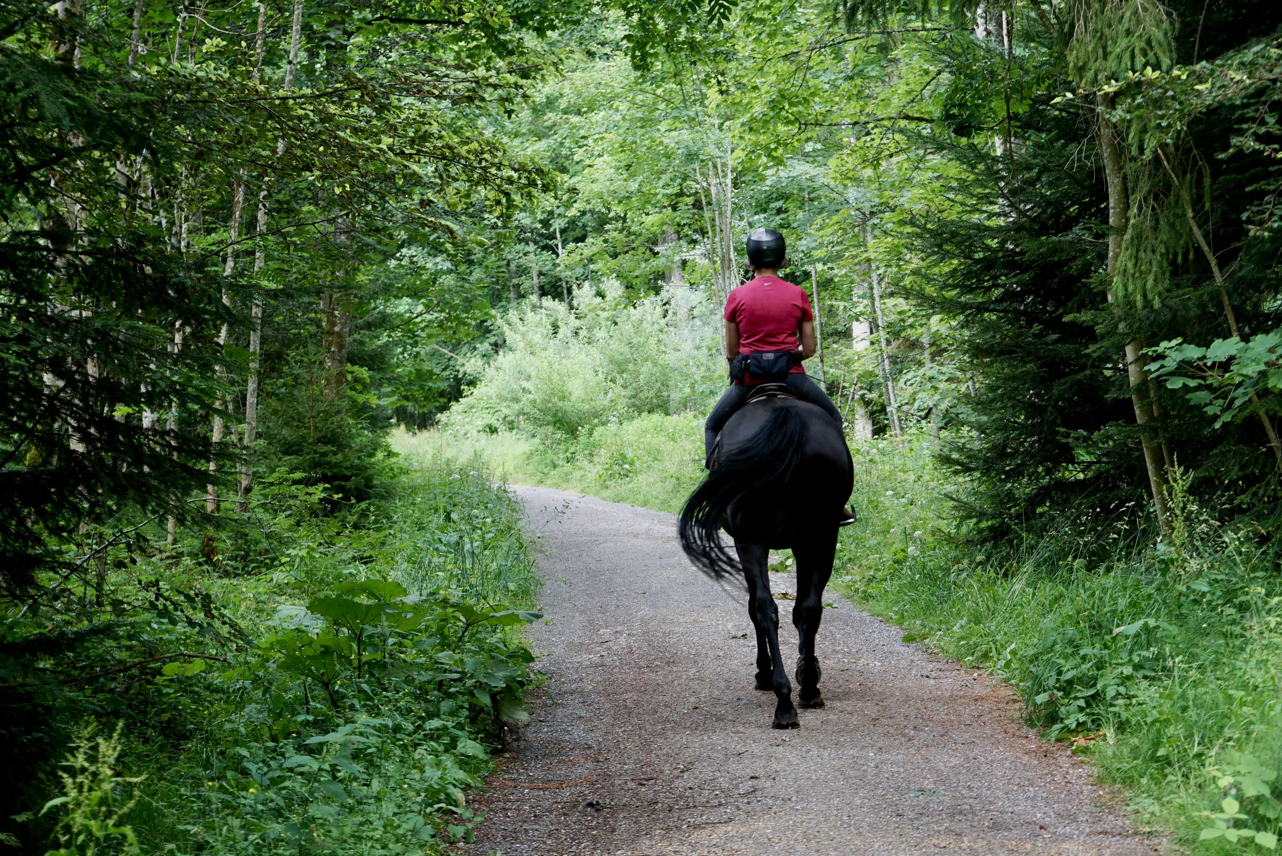 Horseback Riding on Anna Maria Island