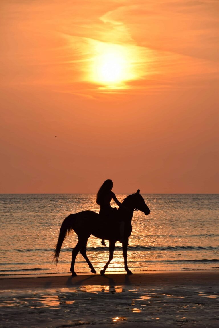 Horseback Riding Anna Maria Island