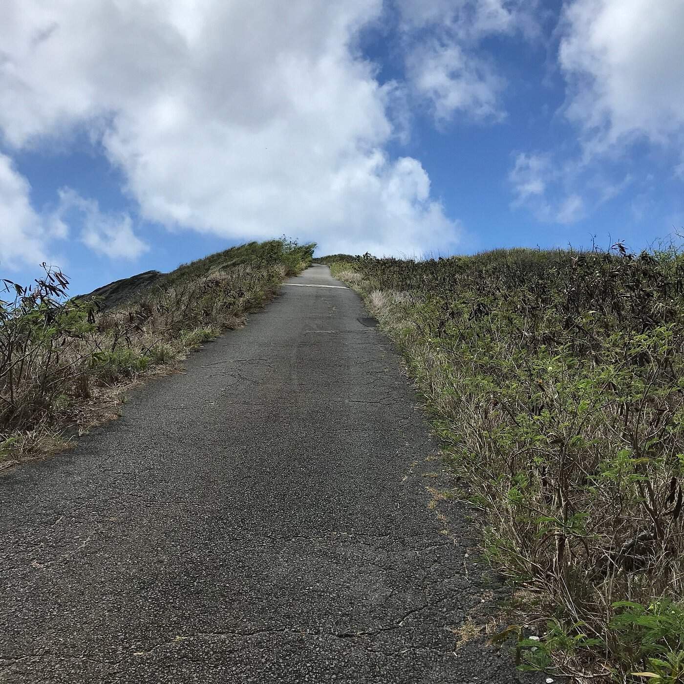 Hanauma Bay Lookout: Worth The Hike? 3 Start of the Hanauma Bay Lookout Point
