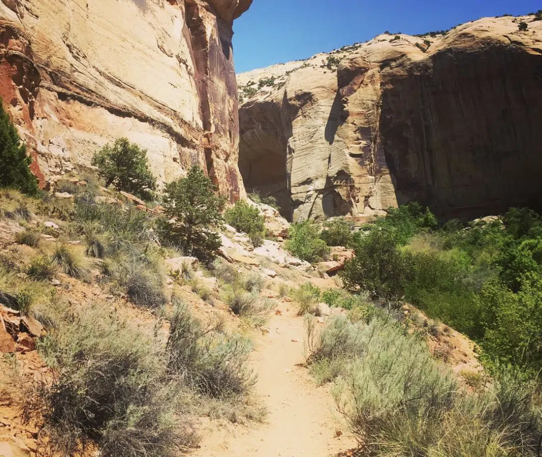 Lower Calf Creek Falls