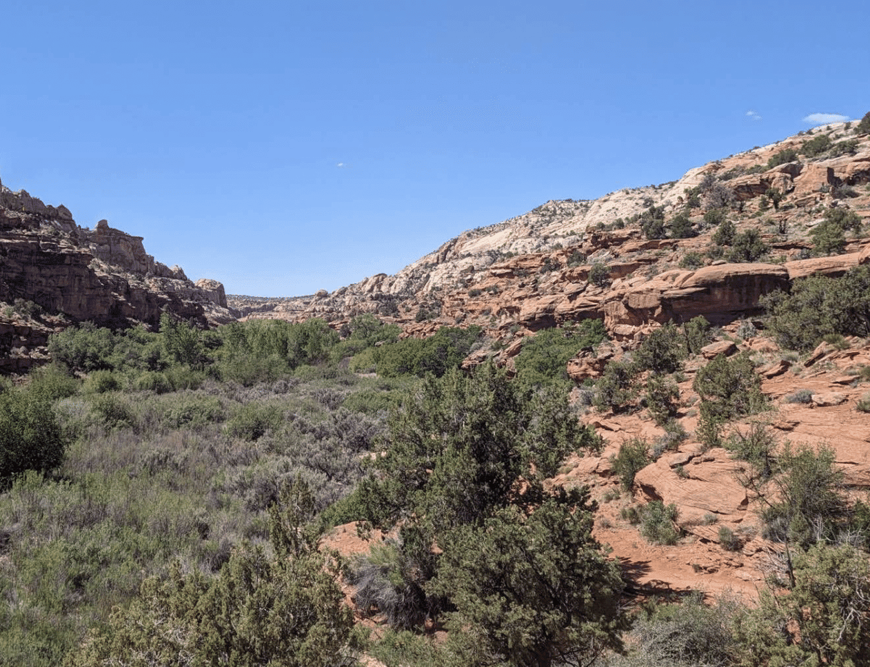 Lower Calf Creek Falls: A Magical Waterfall Hike! 5 Calf Creek