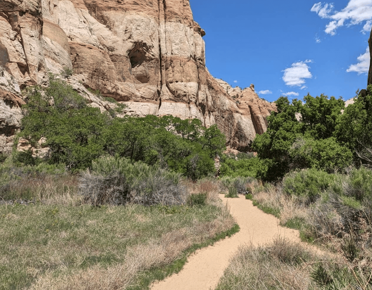 Lower Calf Creek Falls: A Magical Waterfall Hike! 7 Trail towards the Lower Calf Creek Falls