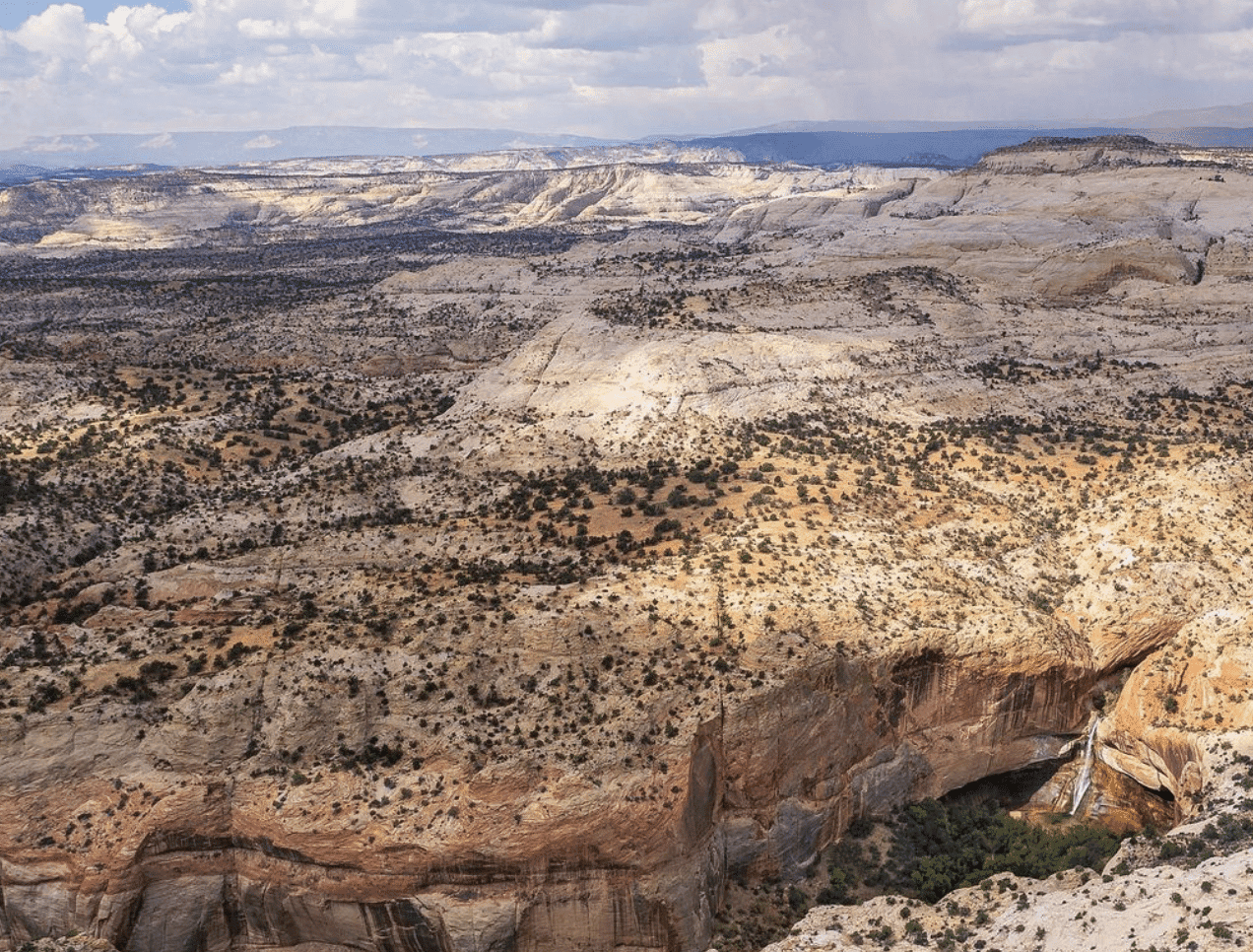 Lower Calf Creek Falls: A Magical Waterfall Hike! 4 Calf Creek