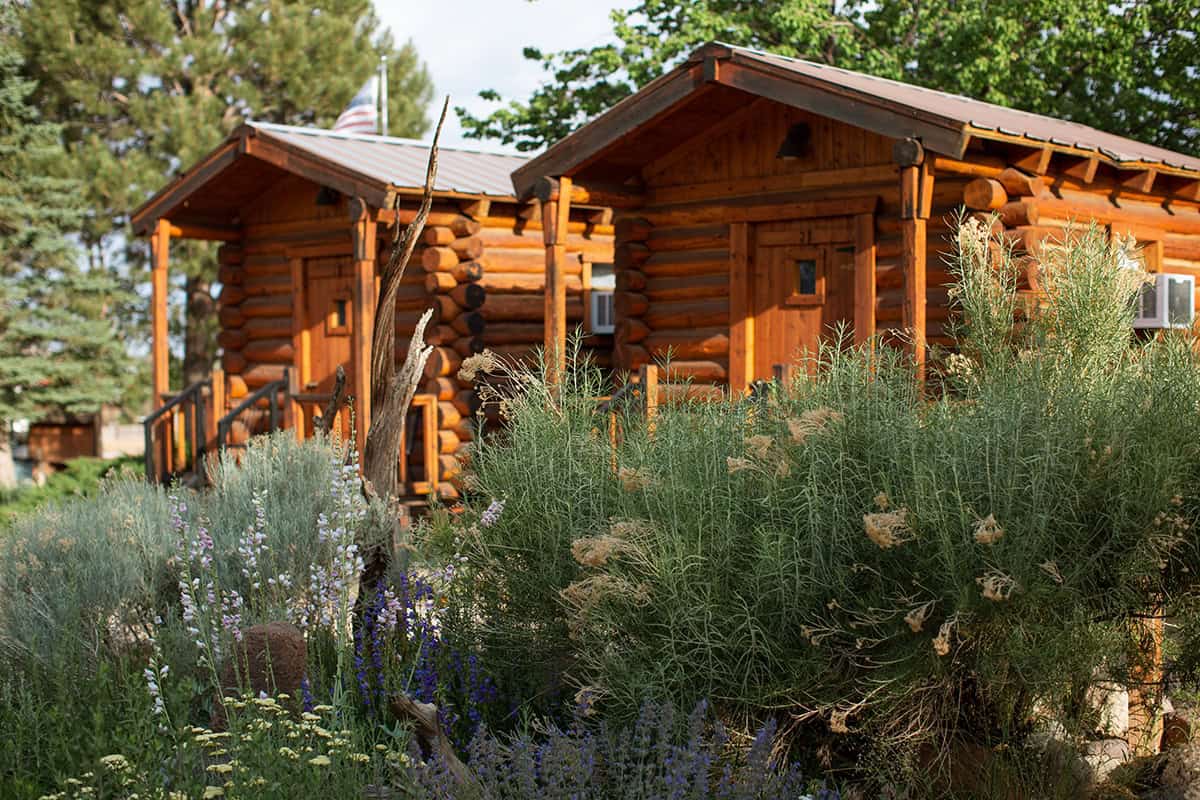 Lower Calf Creek Falls: A Magical Waterfall Hike! 12 Escalate Outfitters Lodge