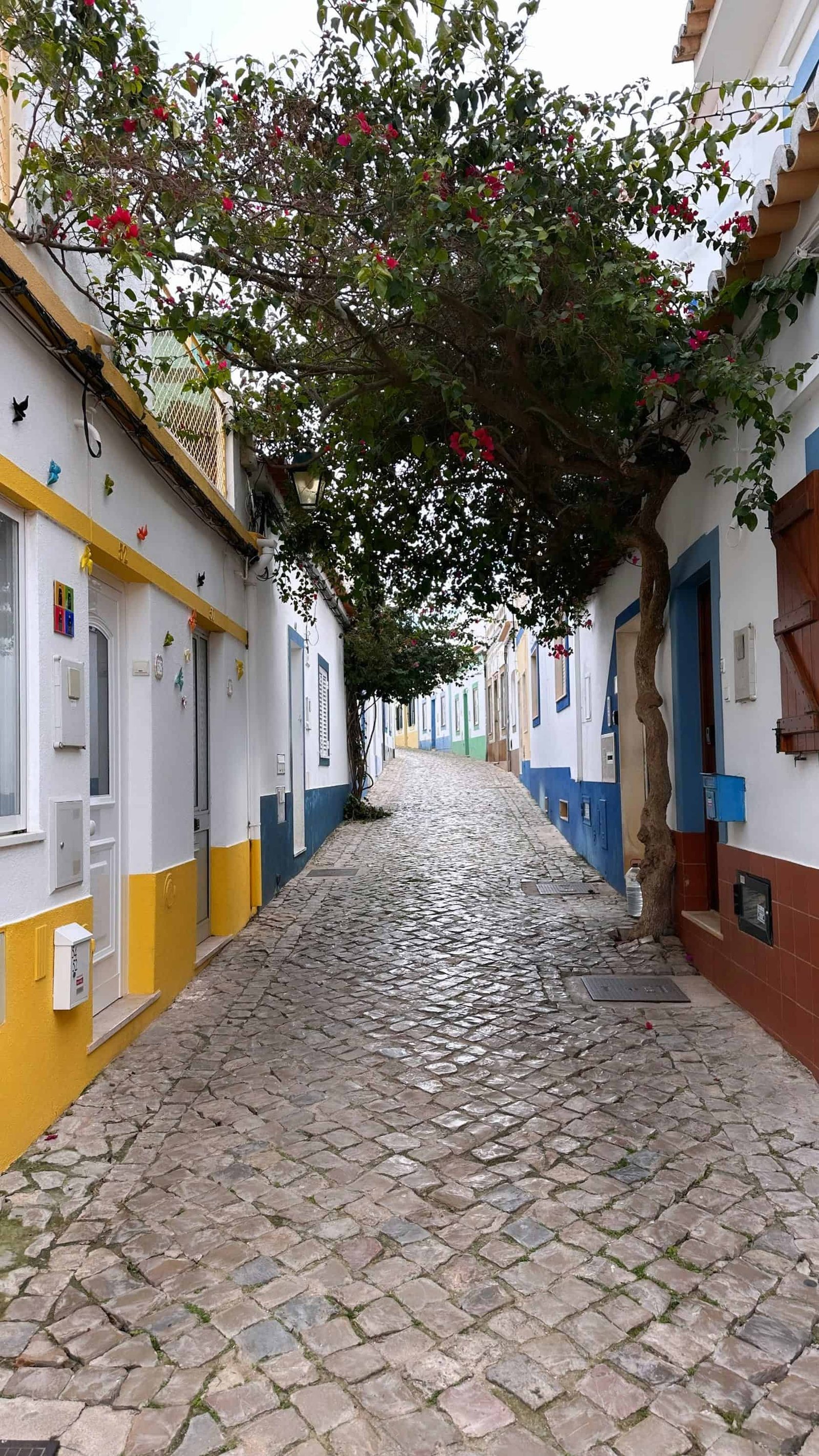 Four Days in Portugal: Lisbon, Sintra & Algarve Itinerary 9 Portimao