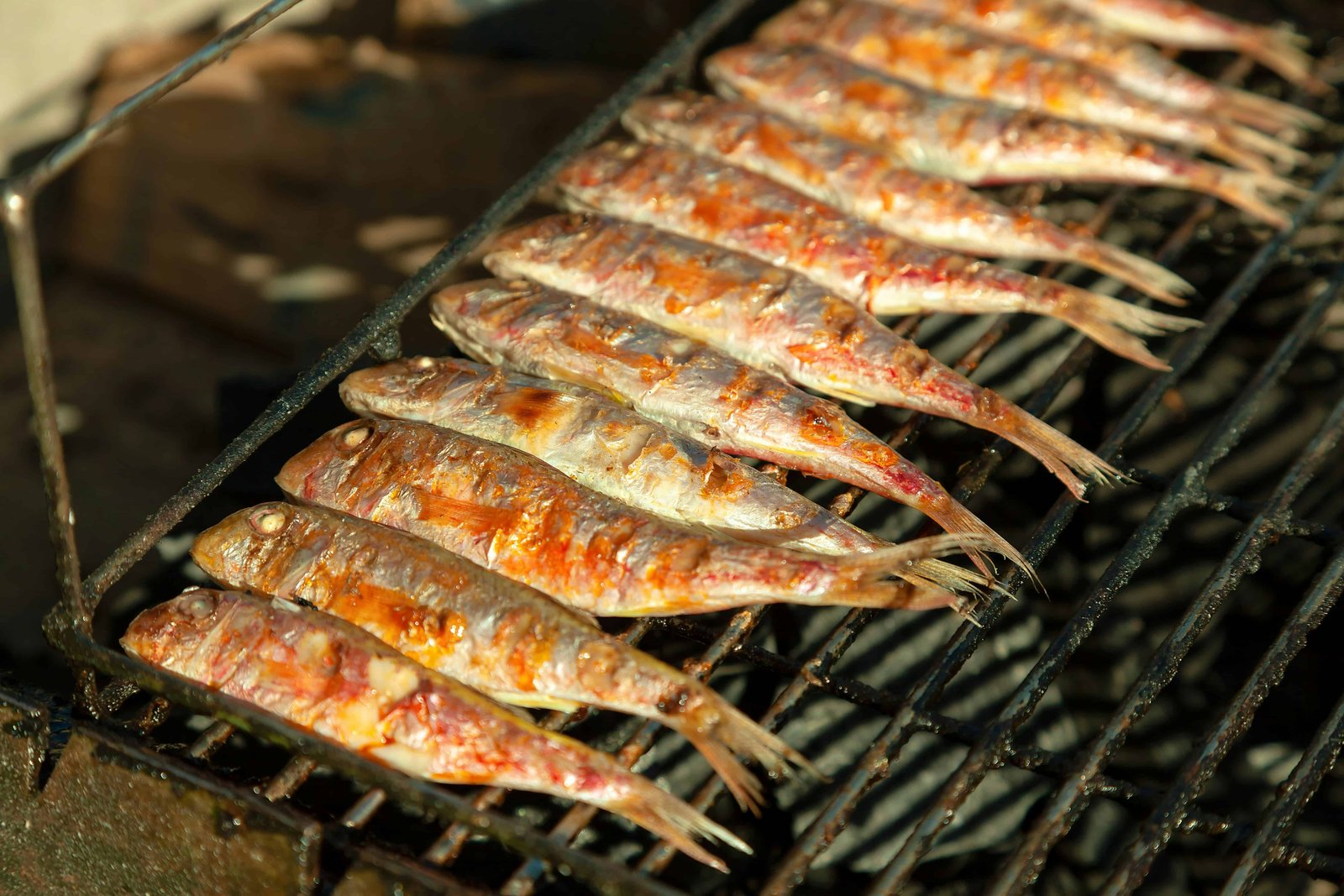 Four Days in Portugal: Lisbon, Sintra & Algarve Itinerary 6 Grilled Sardines