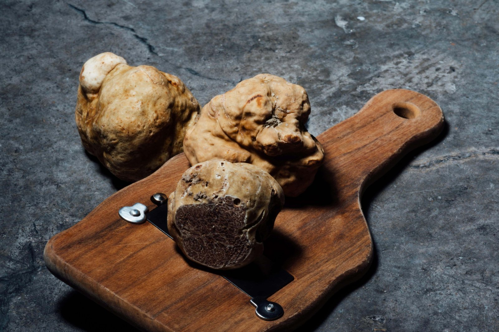 Emilia Romagna Tours: What Are The Best Tours In Bologna? 11 Truffle hunting tour in Emilia Romagna