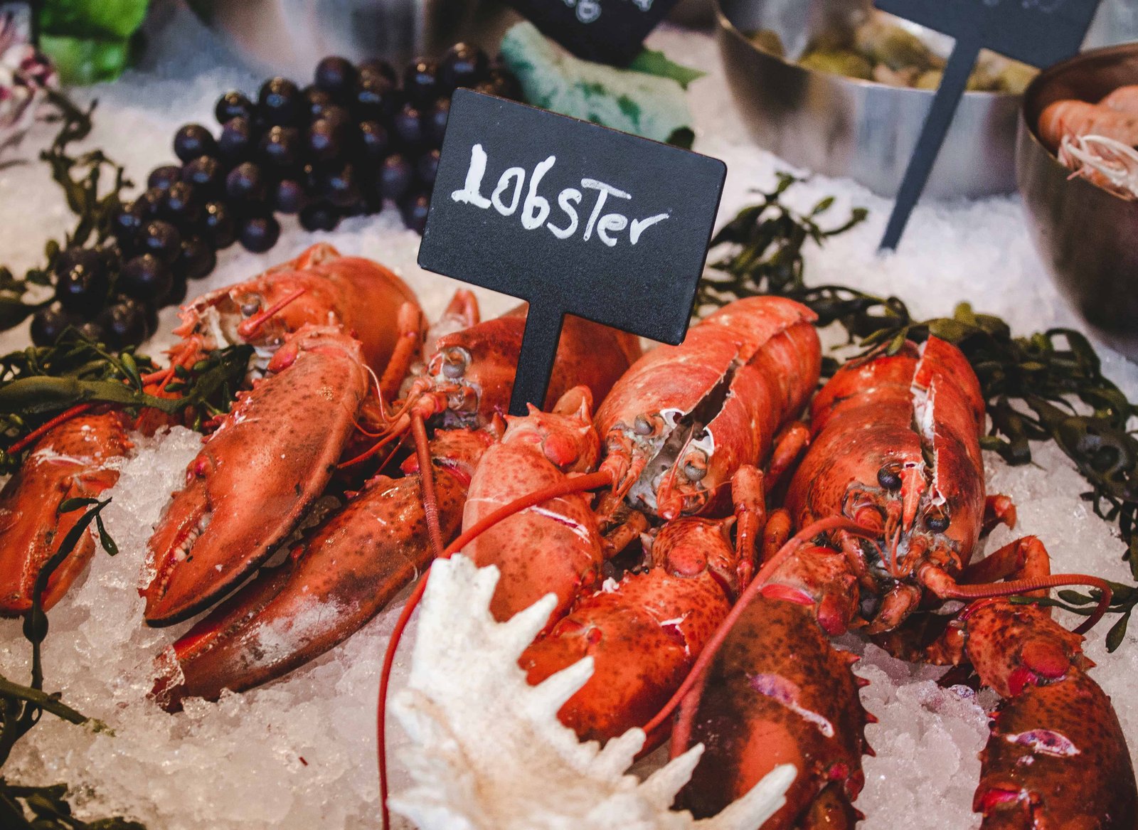 Four Days in Portugal: Lisbon, Sintra & Algarve Itinerary 29 Lobster for the bisque