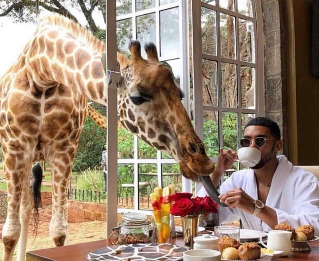 Visiting Giraffe Park Nairobi, Tickets, Tips, and Honest Review 7 A look at the luxurious Giraffe Manor