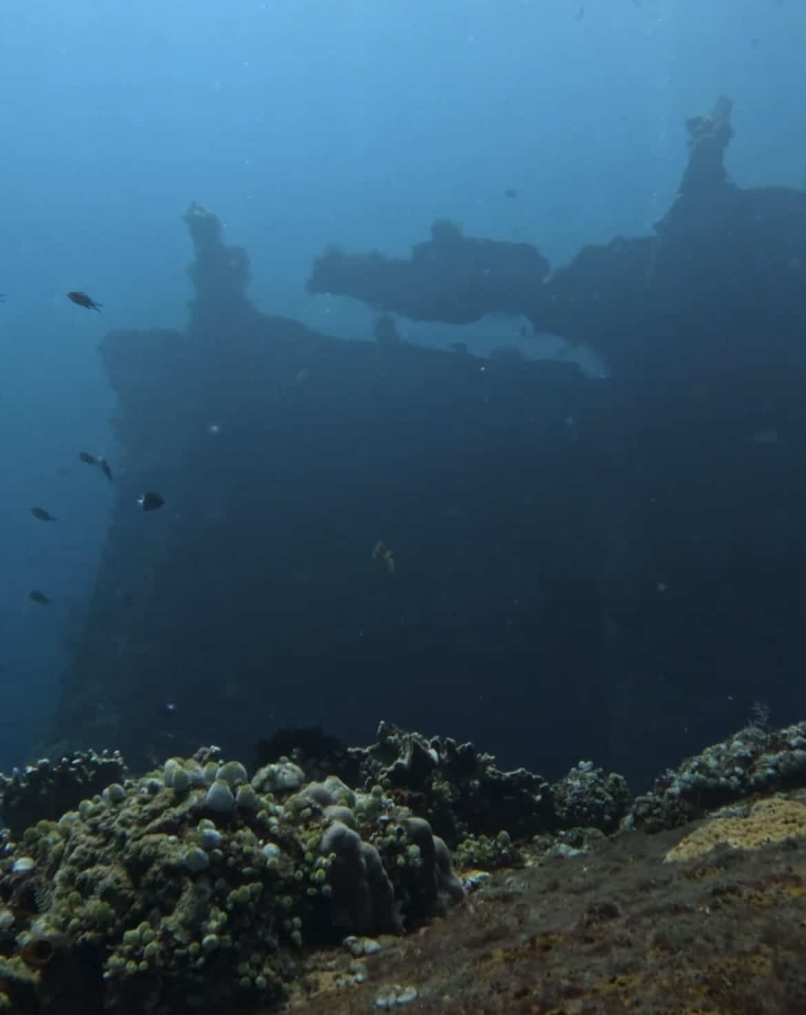 WHY Diving At The USAT Liberty Shipwreck? FULL GUIDE 9 Liberty Shipwreck